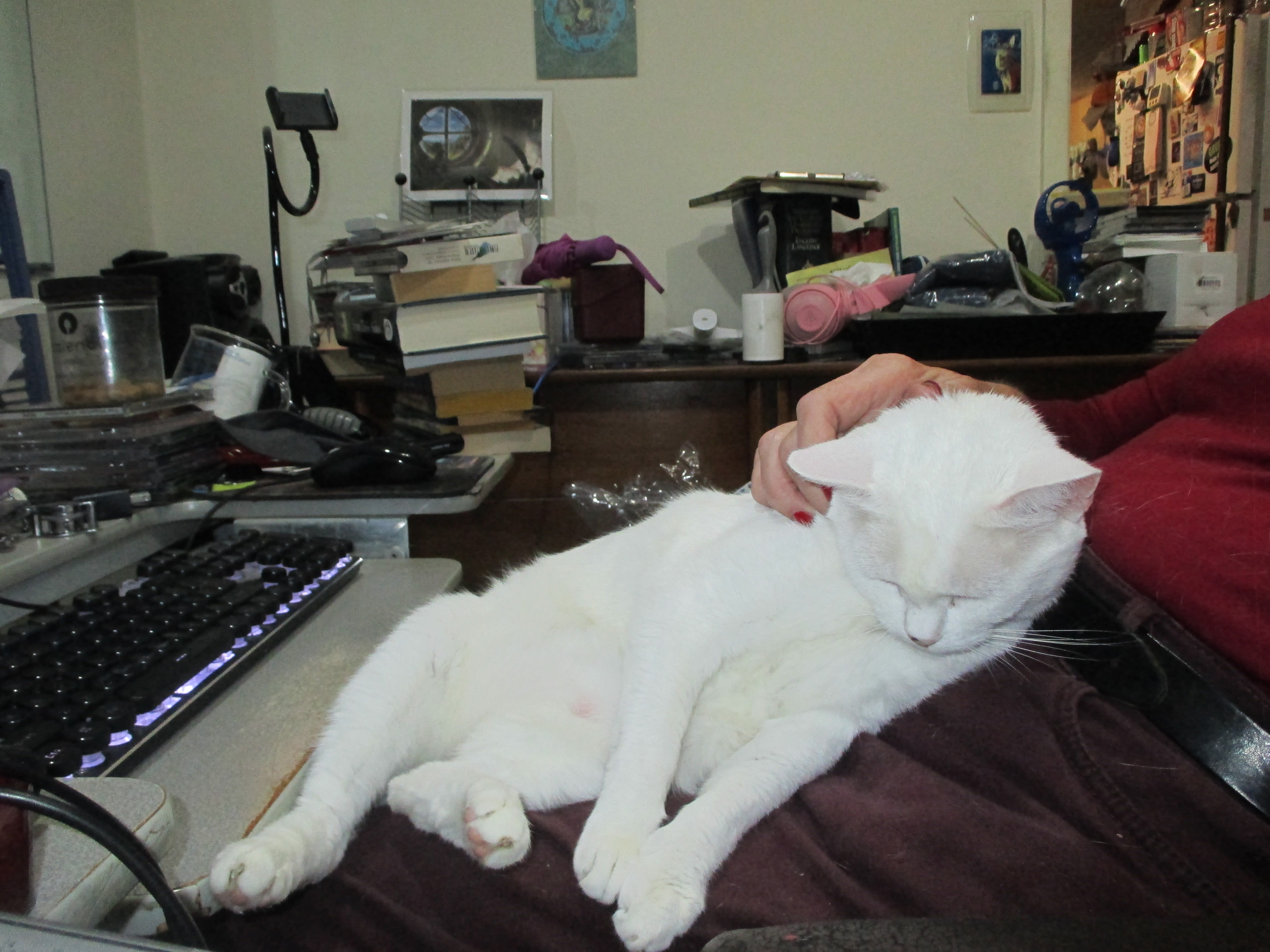 enter image description here