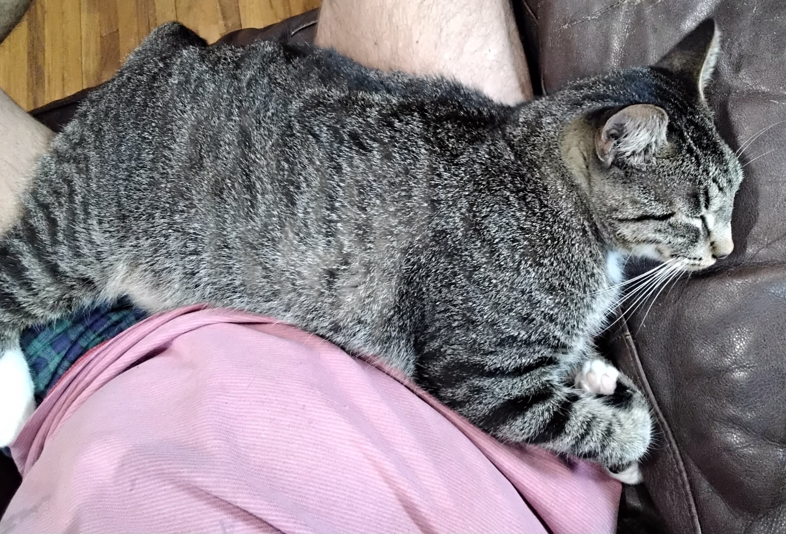 enter image description here