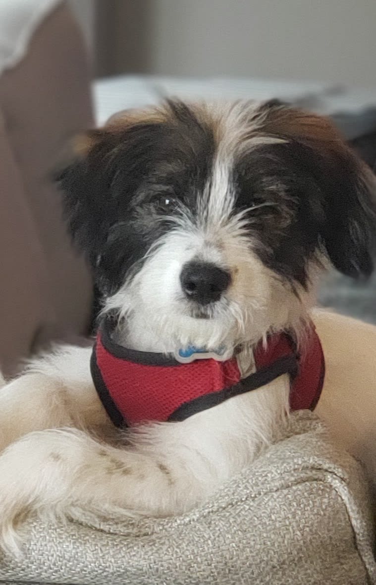 enter image description here