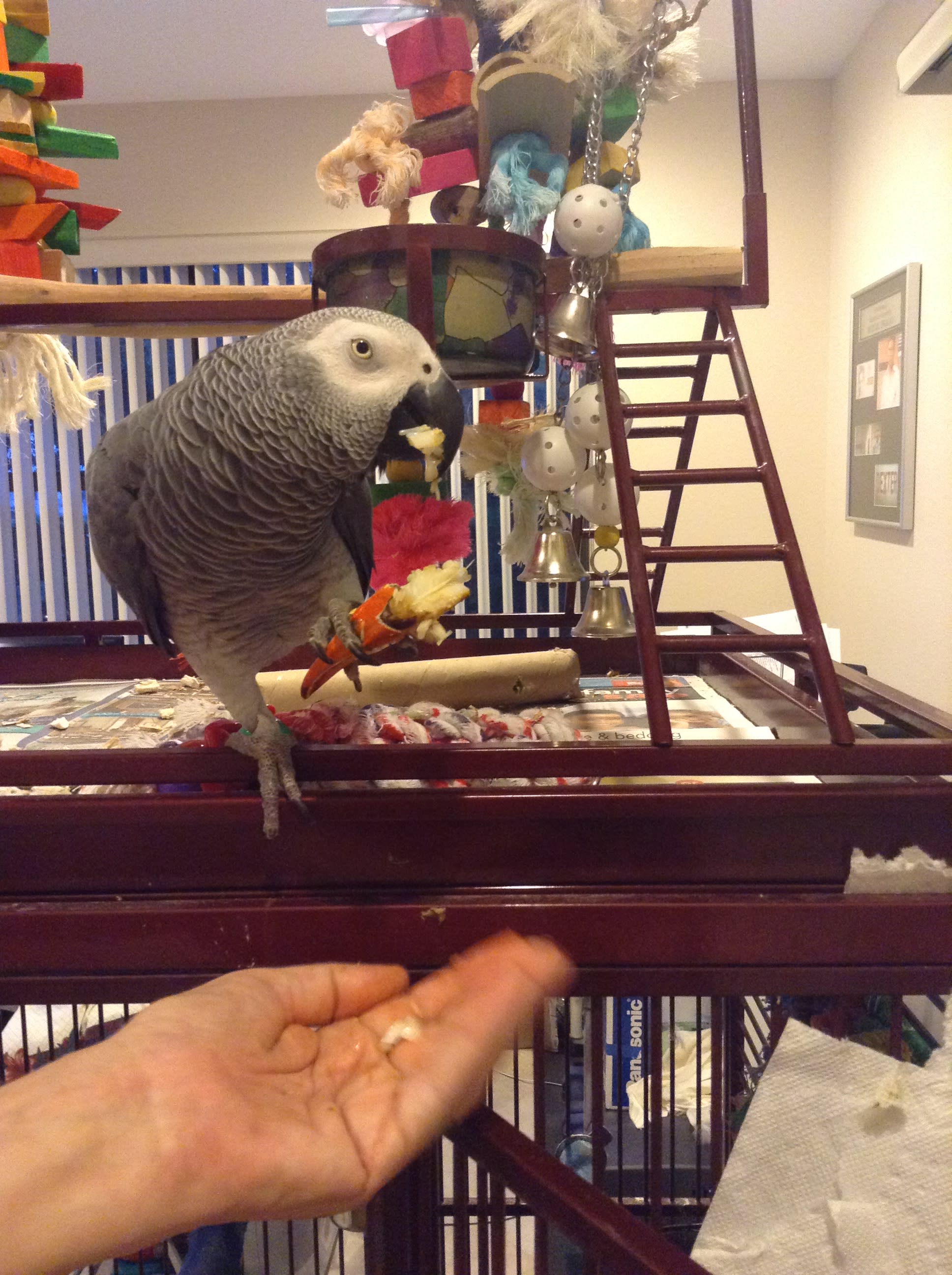 enter image description here