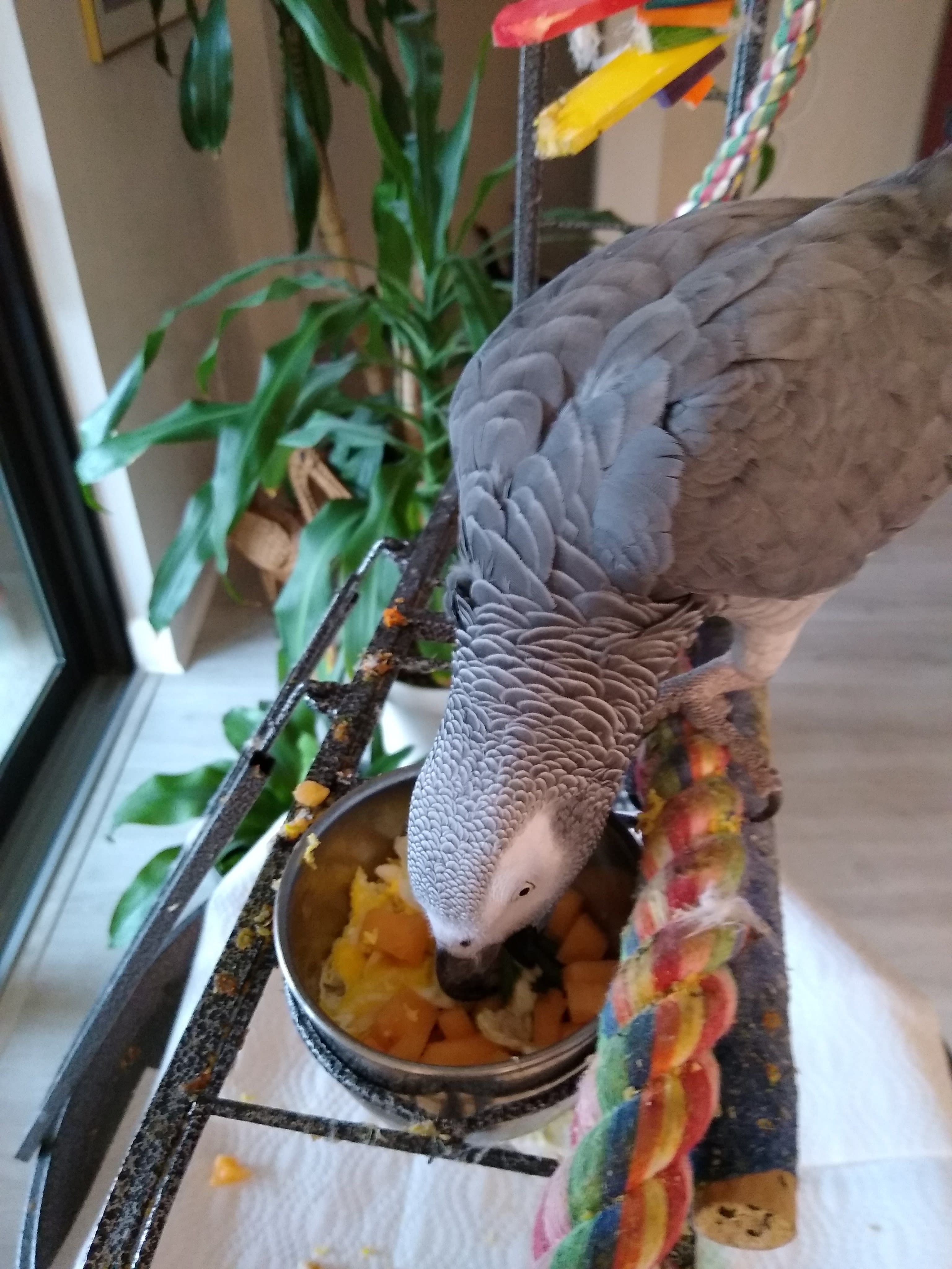 enter image description here