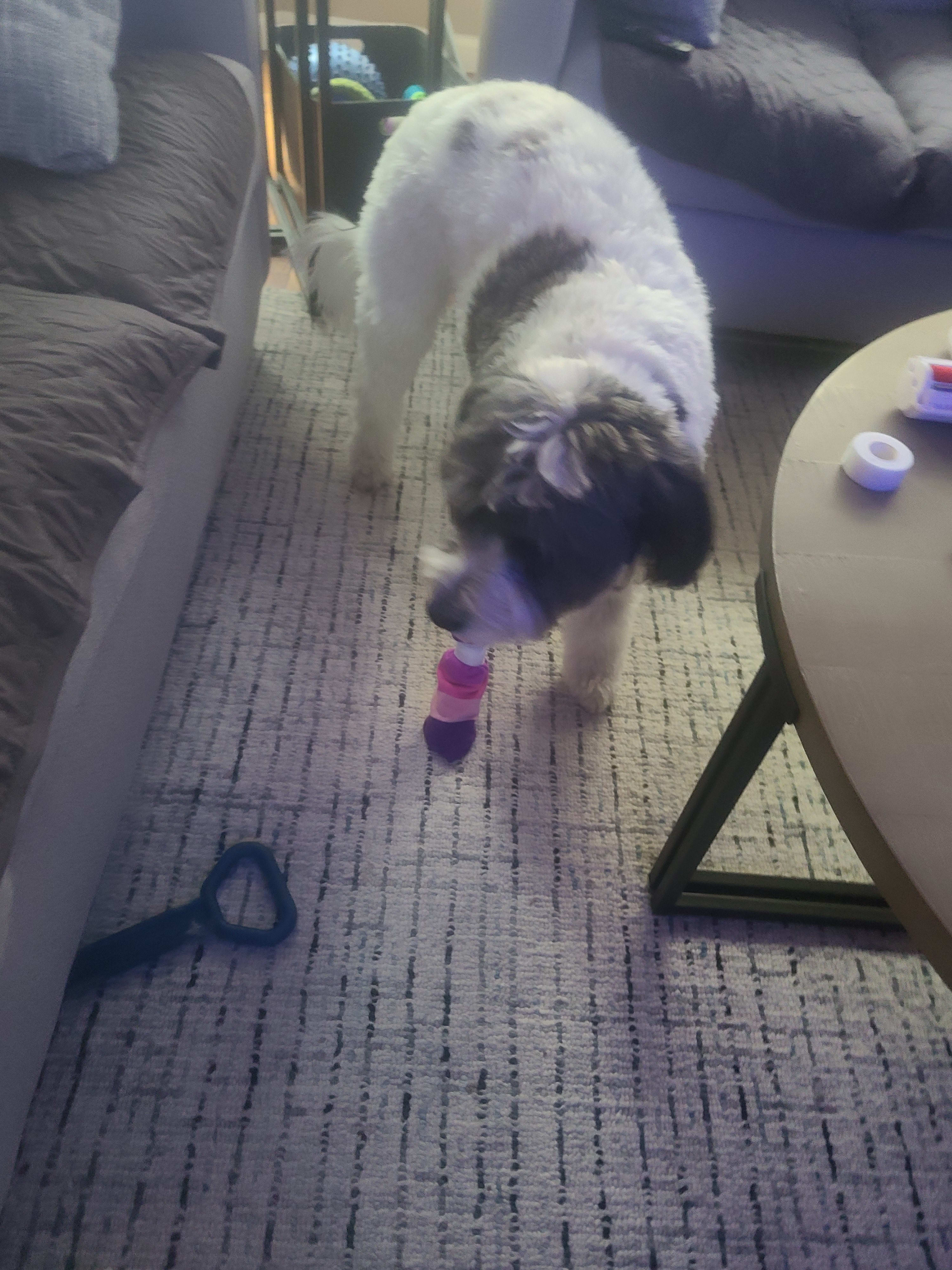 enter image description here