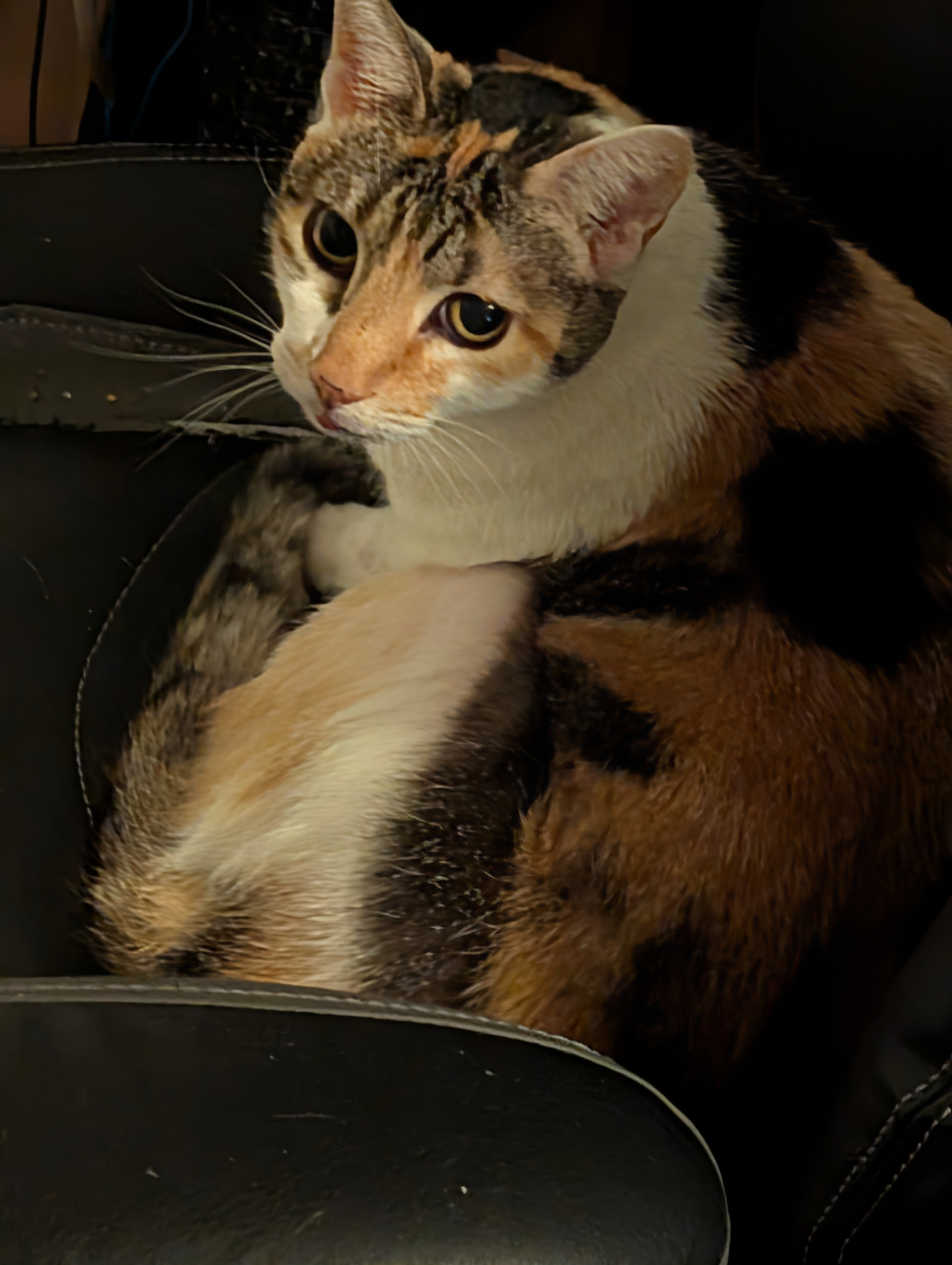 IRK Inspector AKA Annie