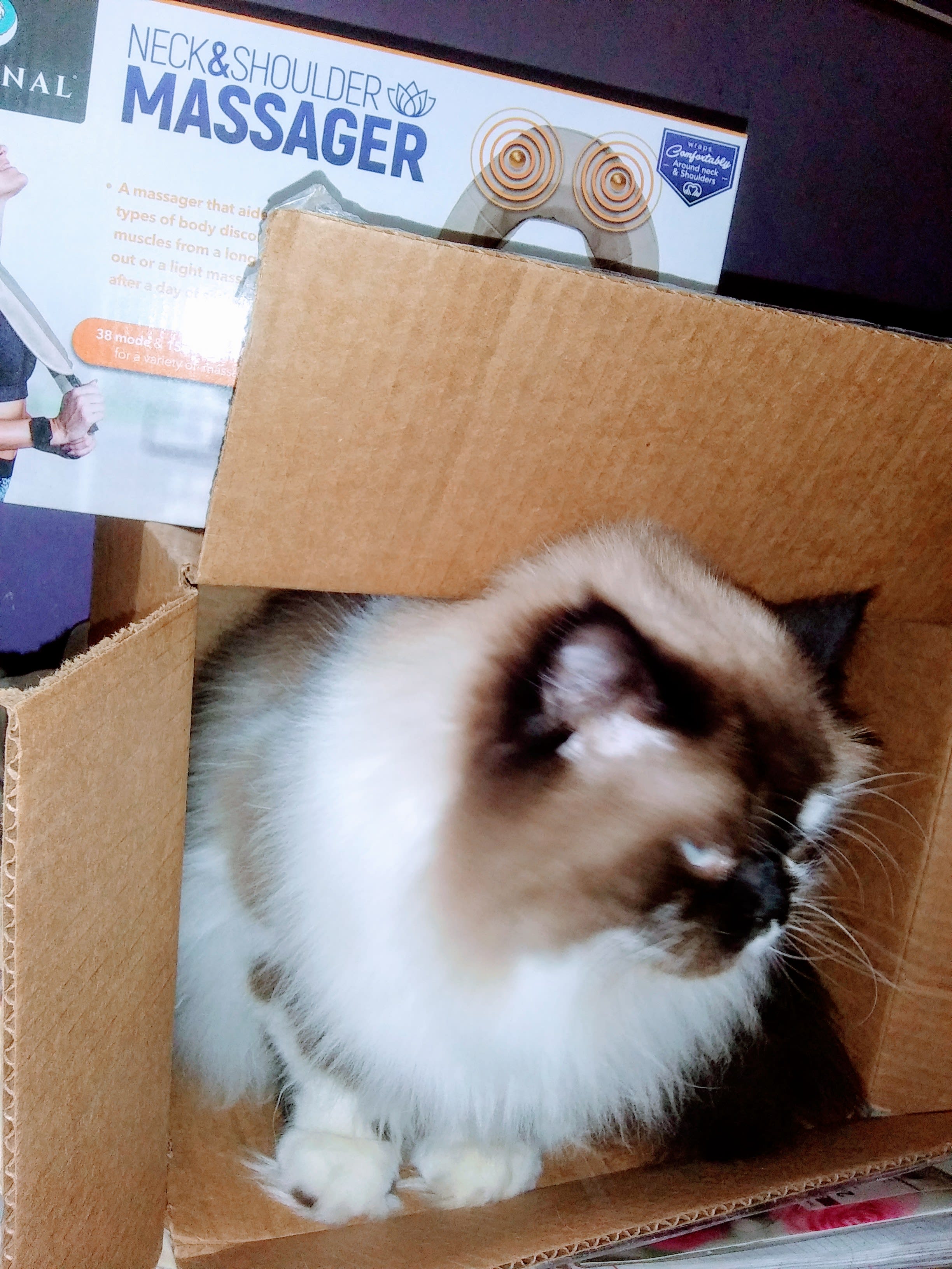 A LITTLE SOMETHING FOR EVERYONE! 😻