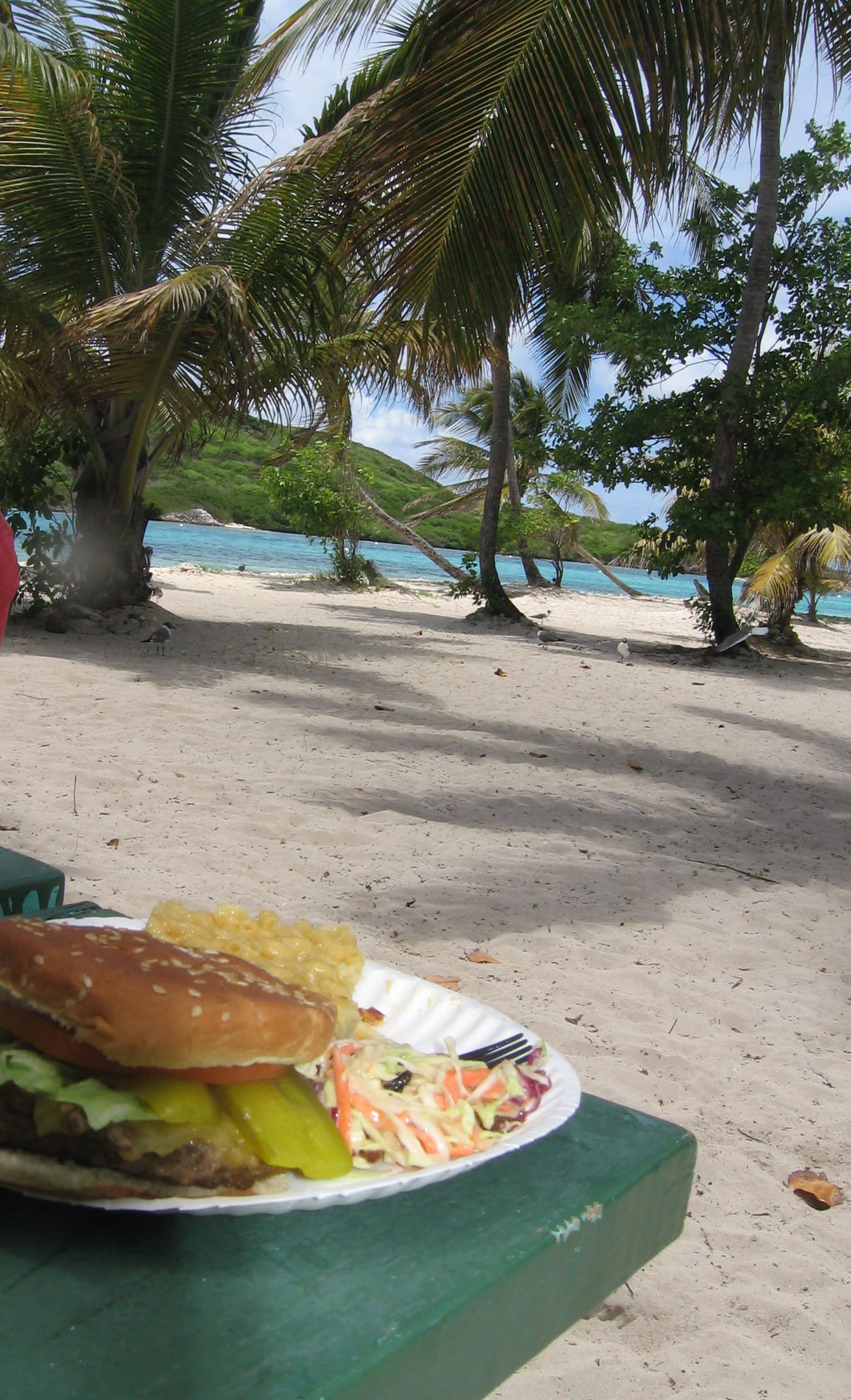 cheeseburger in paradise...