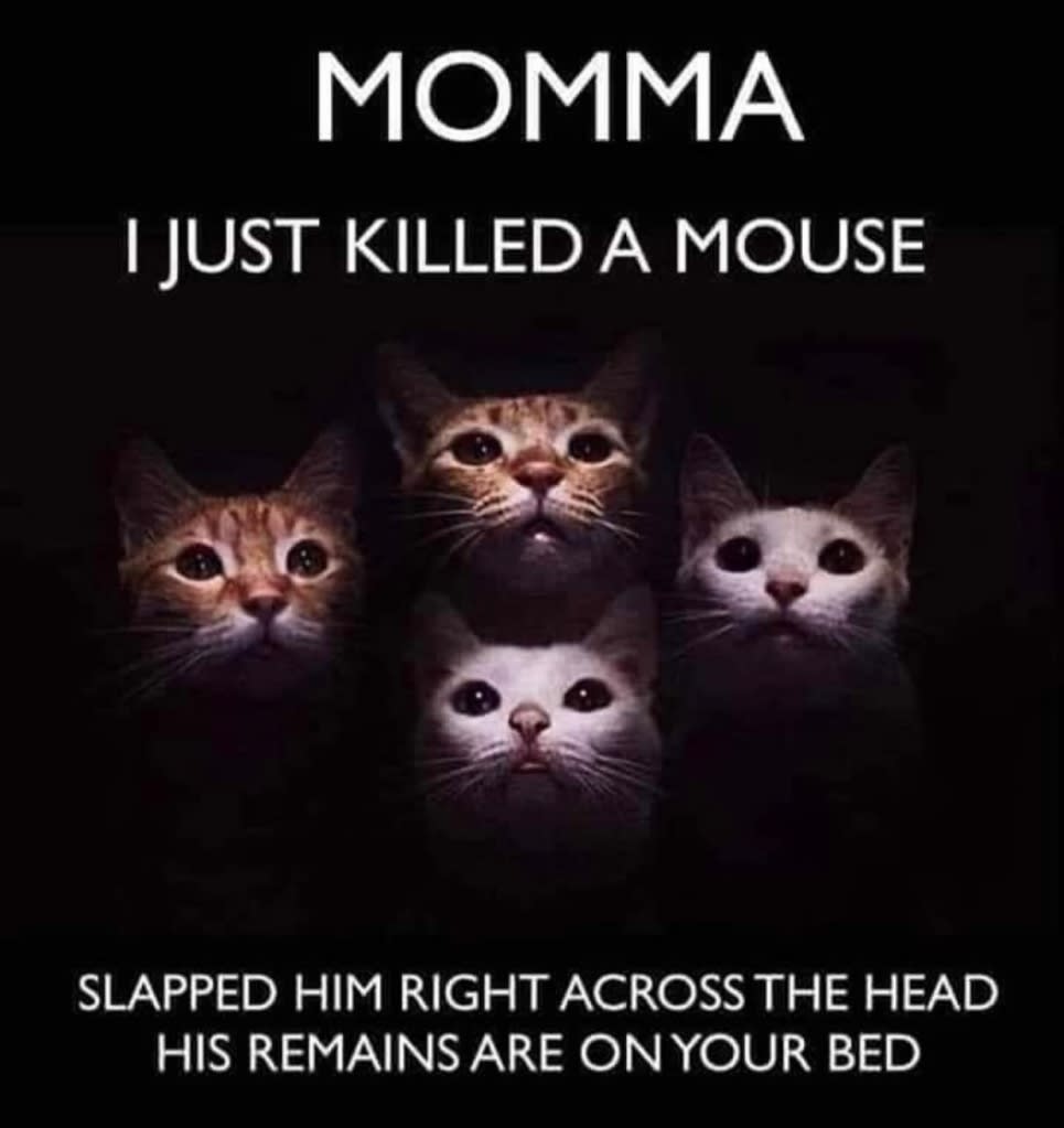 Dead Mouse