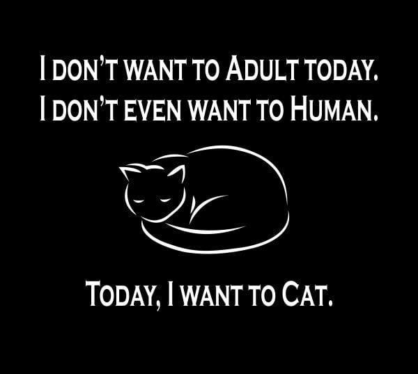 I want to cat.