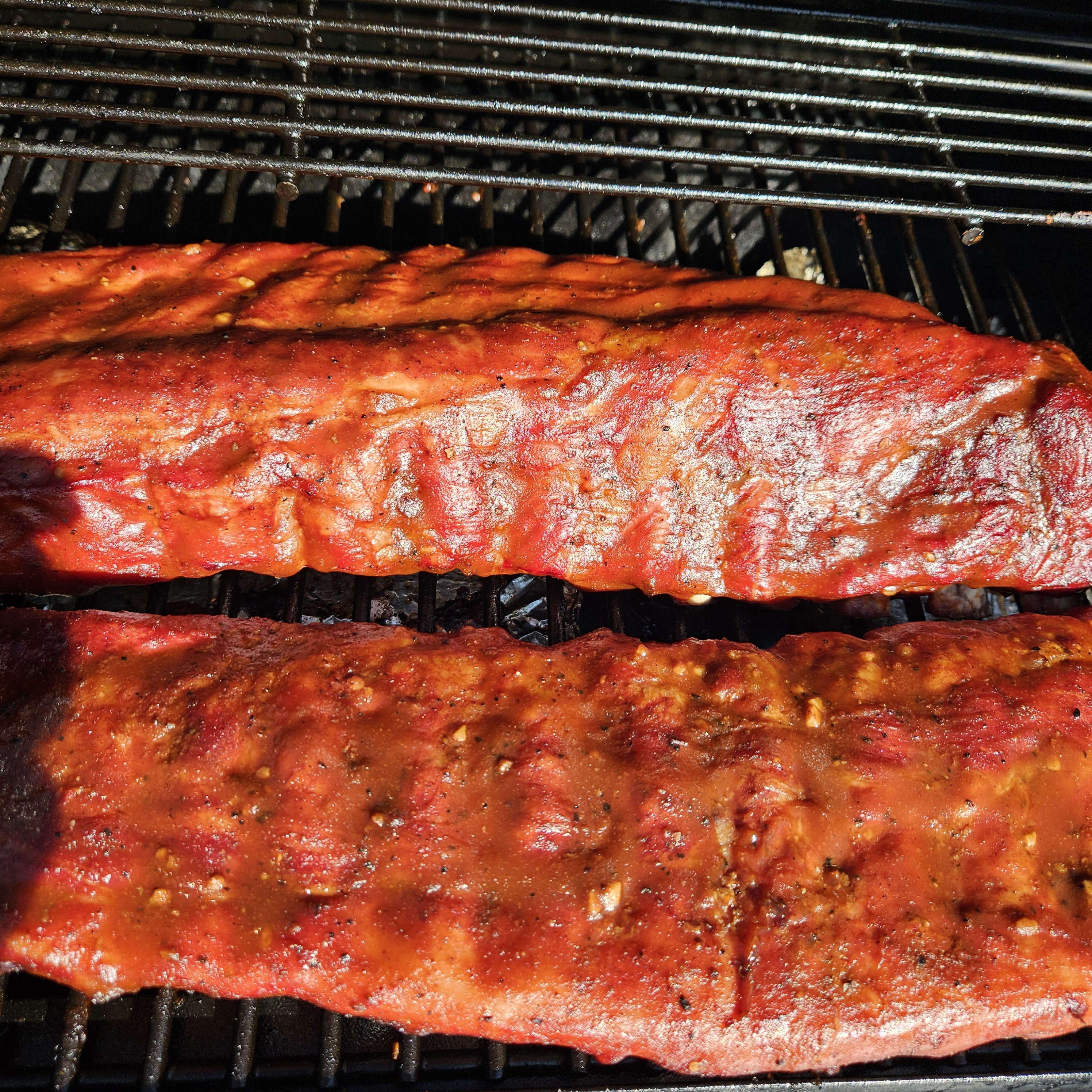 ribs