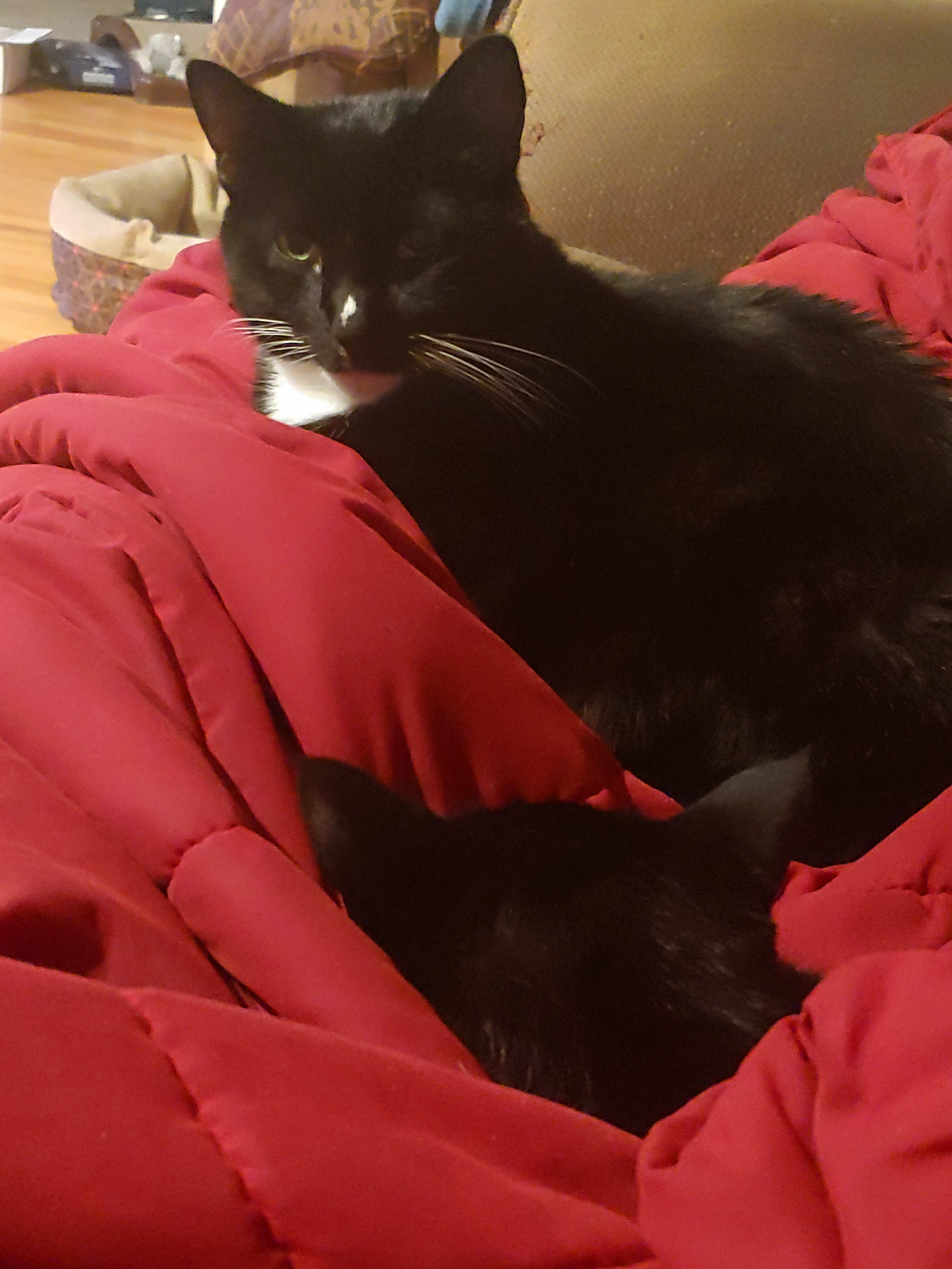 enter image description here