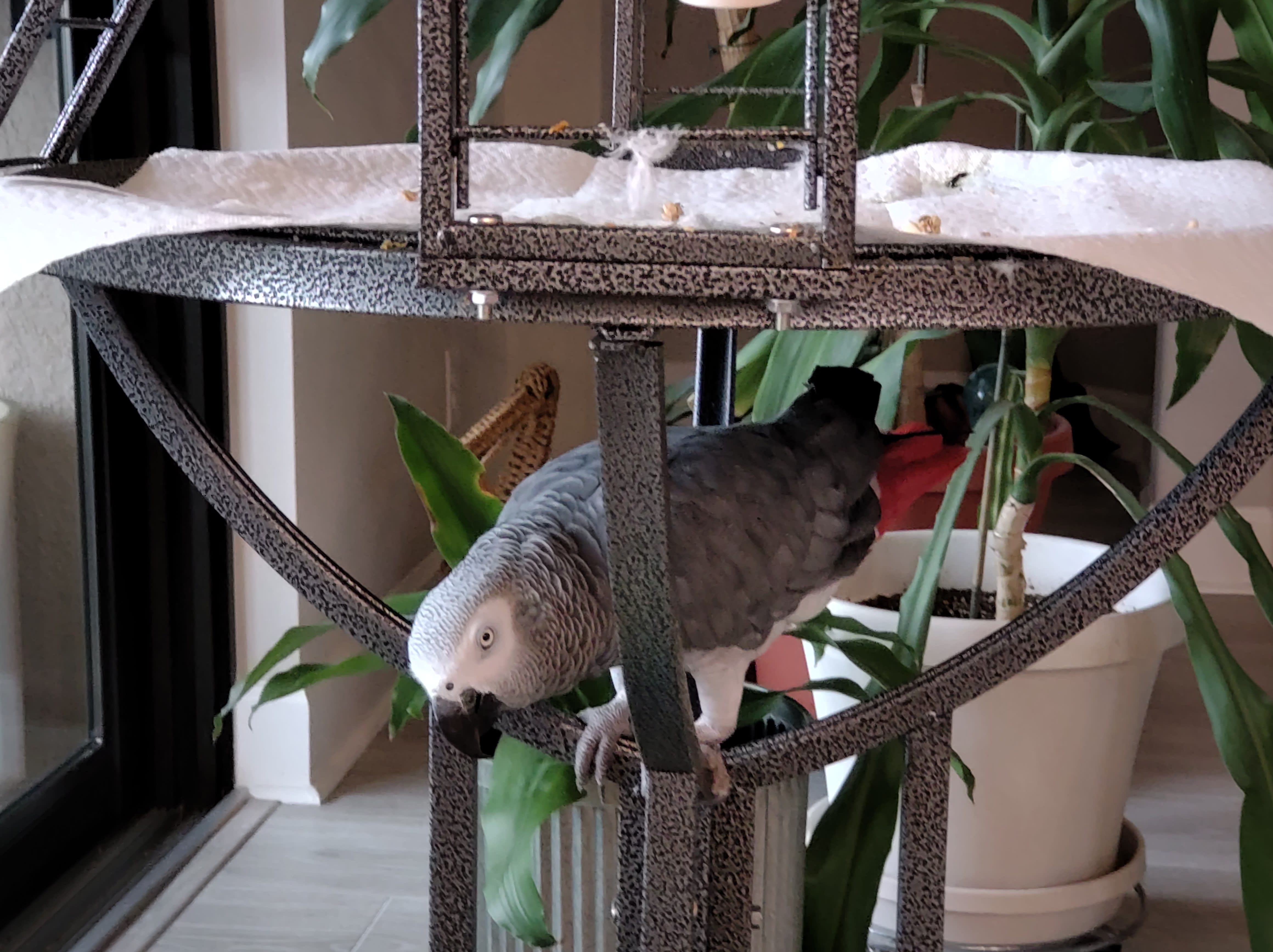 enter image description here