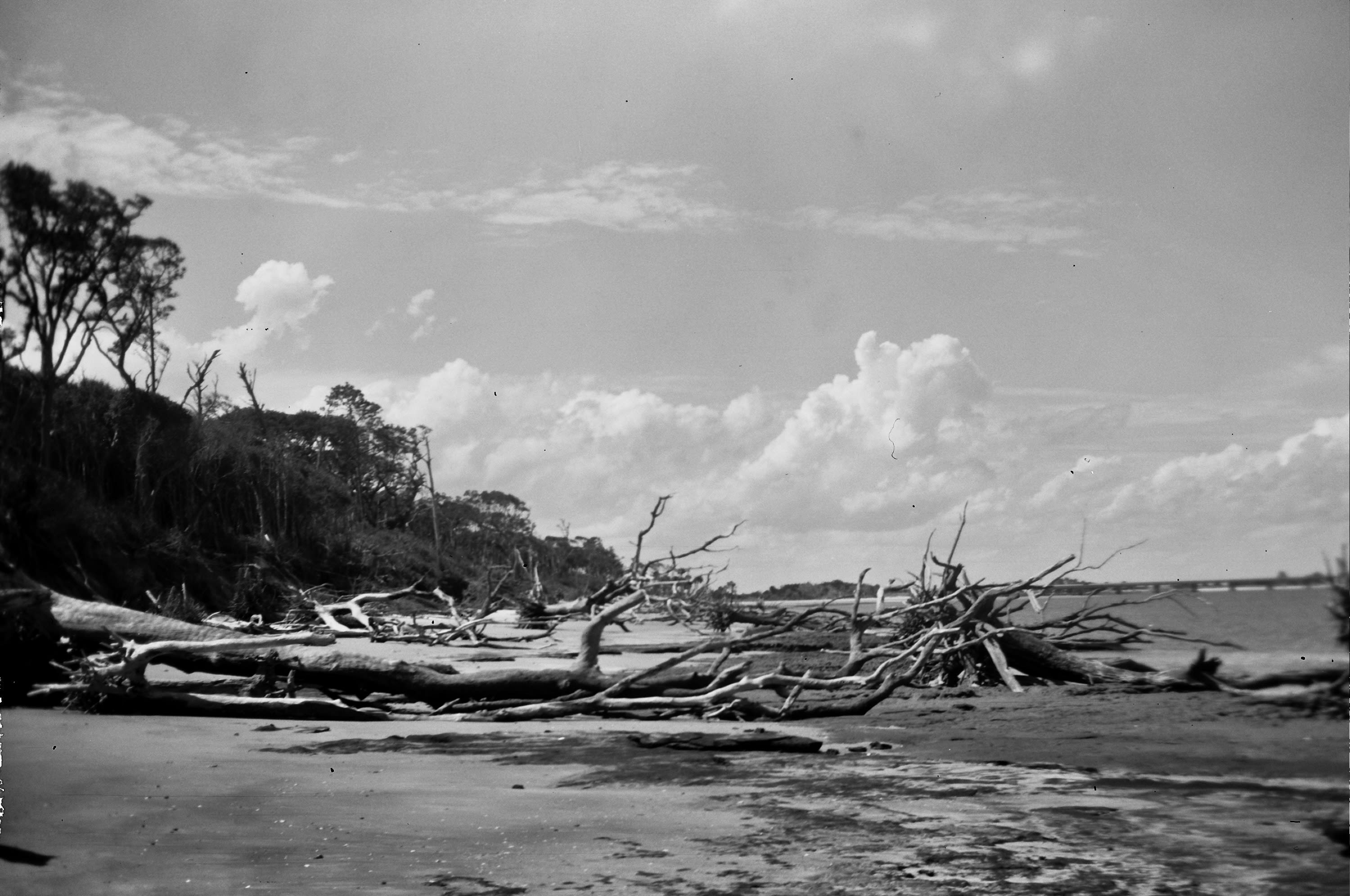 Boneyard Beach in Florida