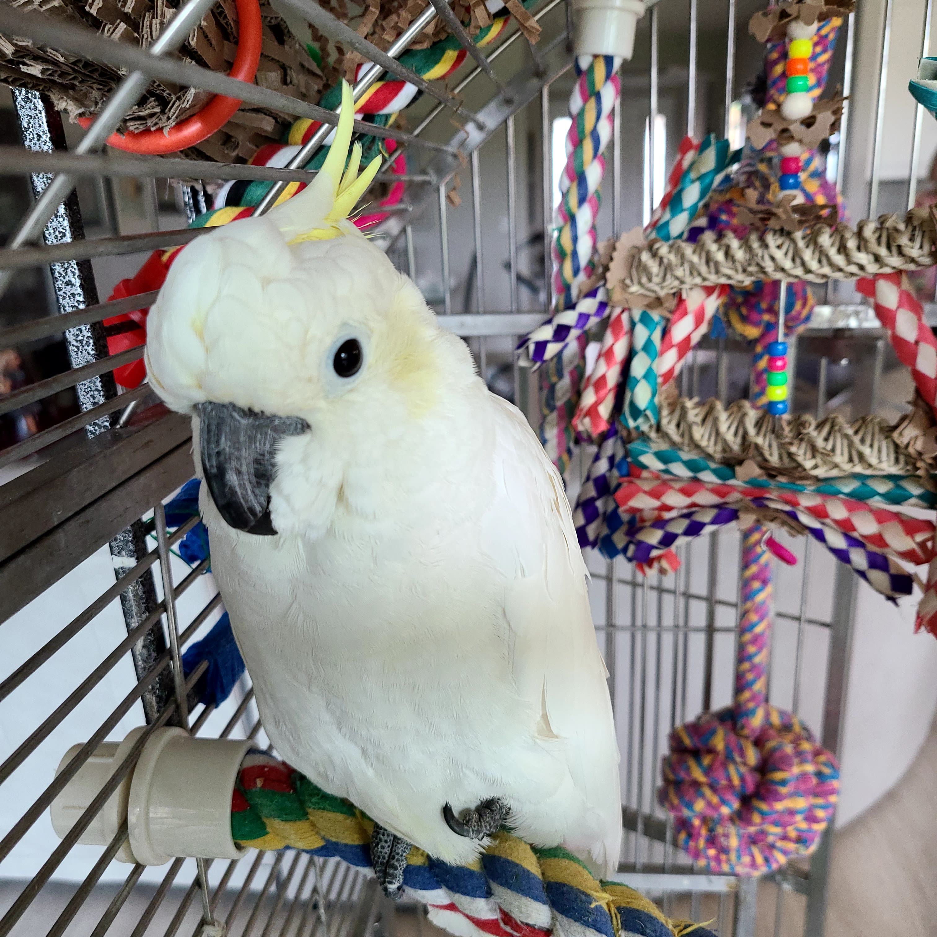 enter image description here