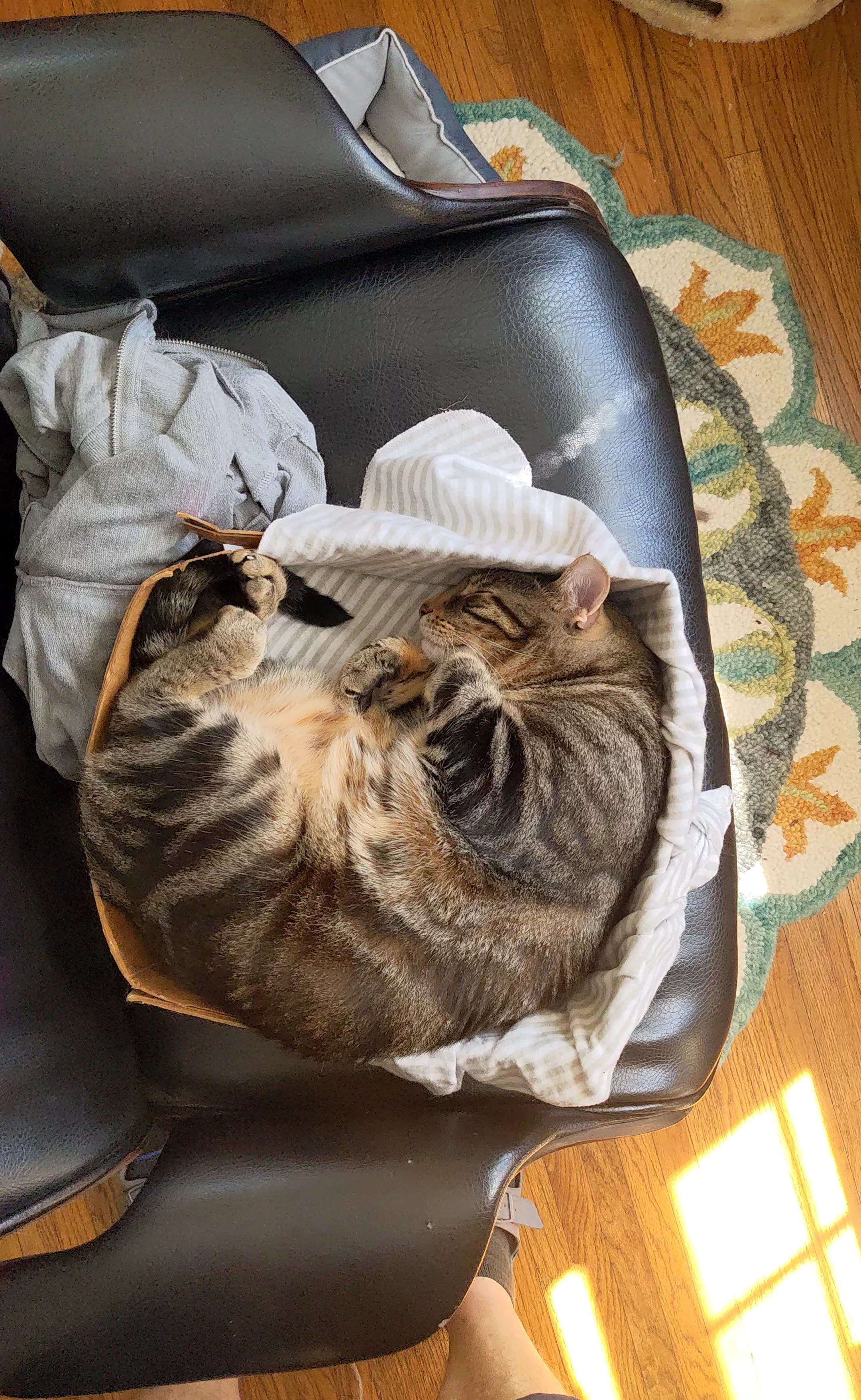 enter image description here