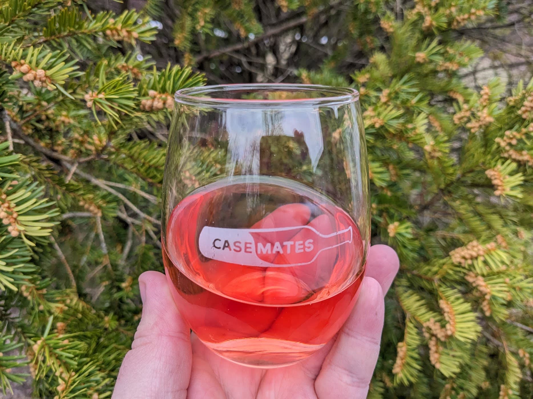 Glass of 2023 La Sirena