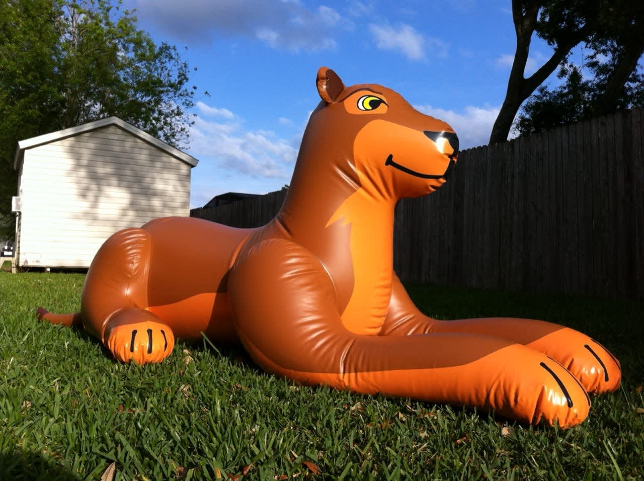 More sun, this time in the backyard