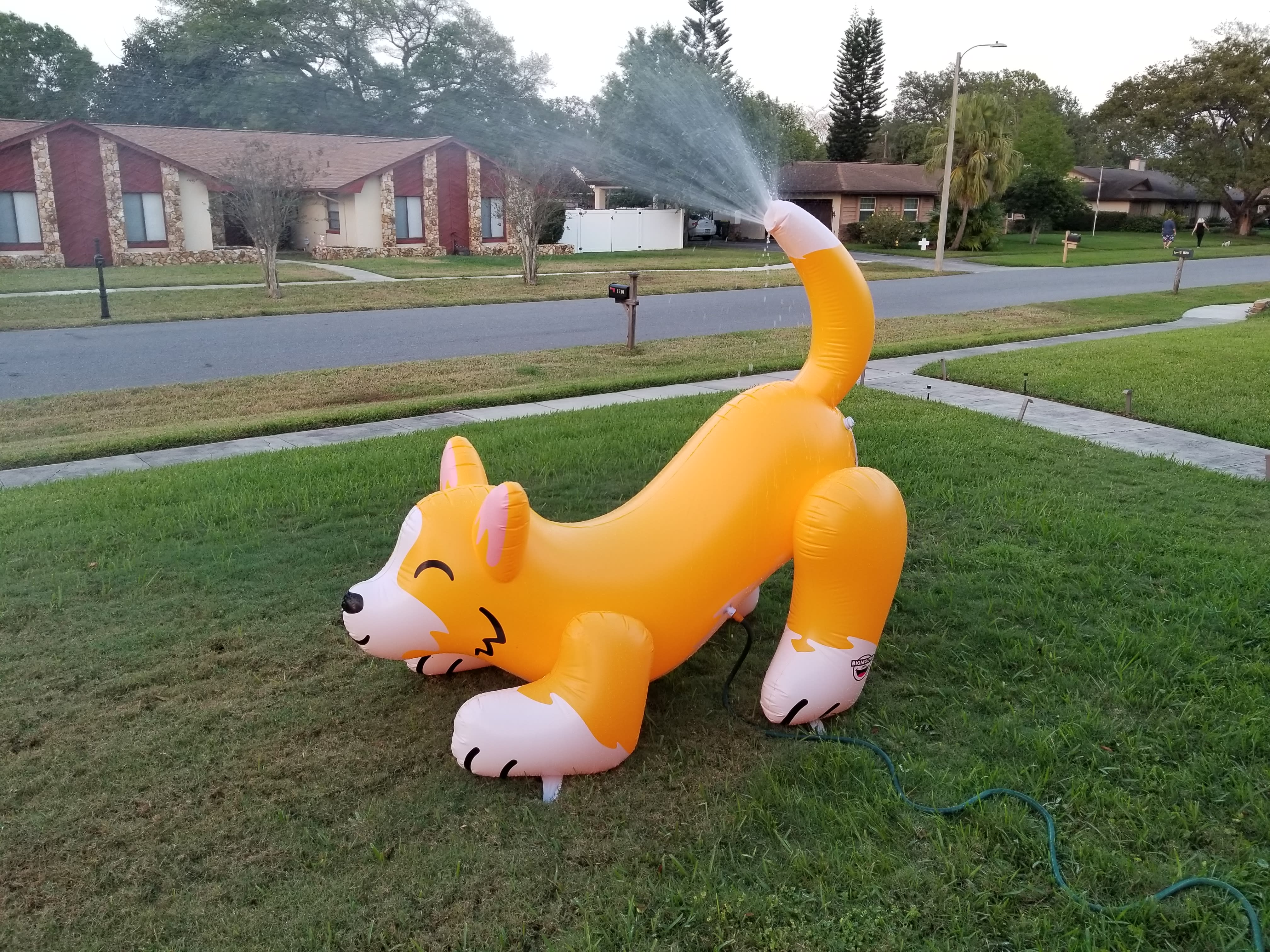 Ginormous Corgi Yard Sprinkler Ph