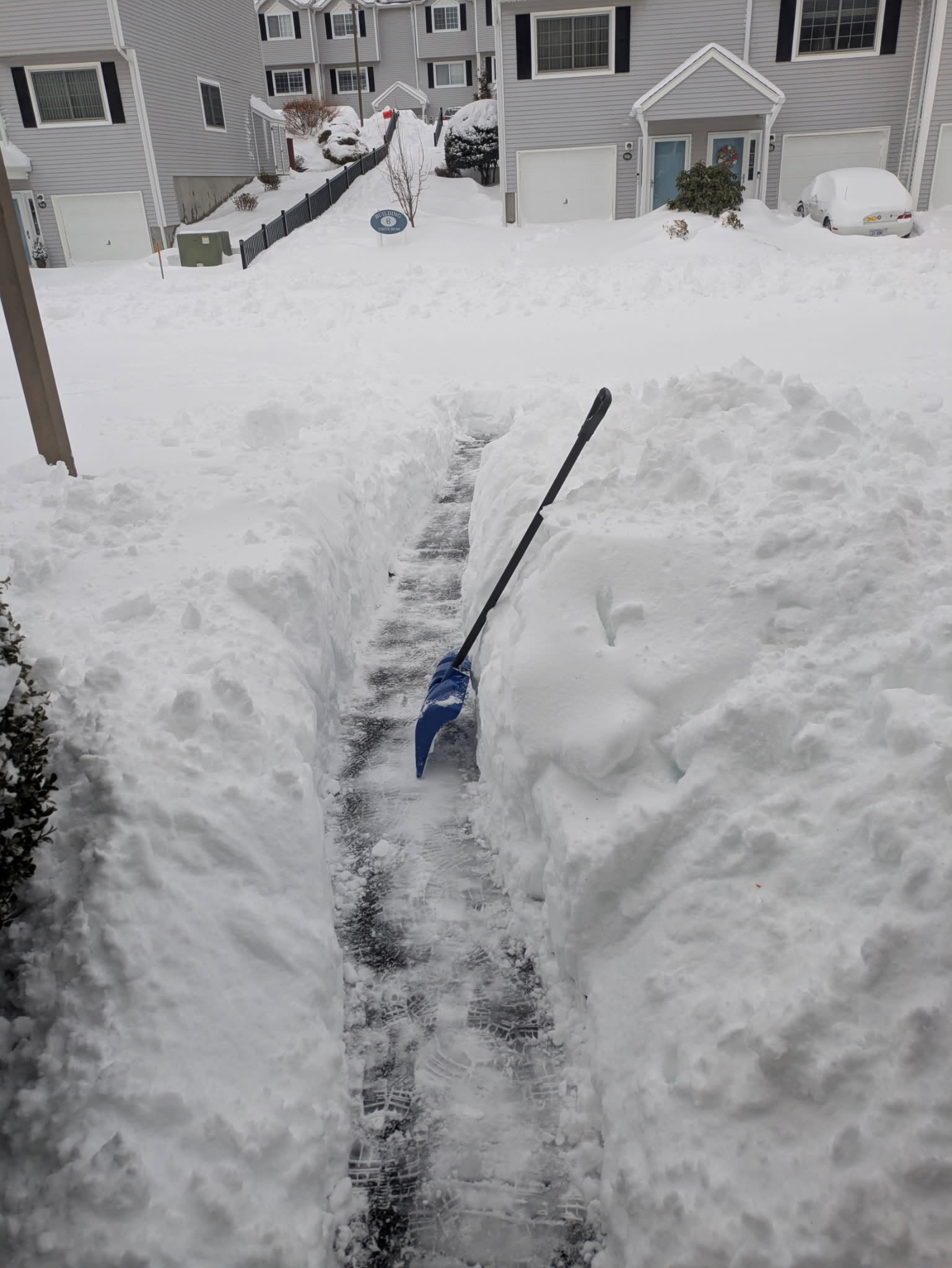 shovel for scale because he forgot to bring a banana!  🍌 🪏 😅