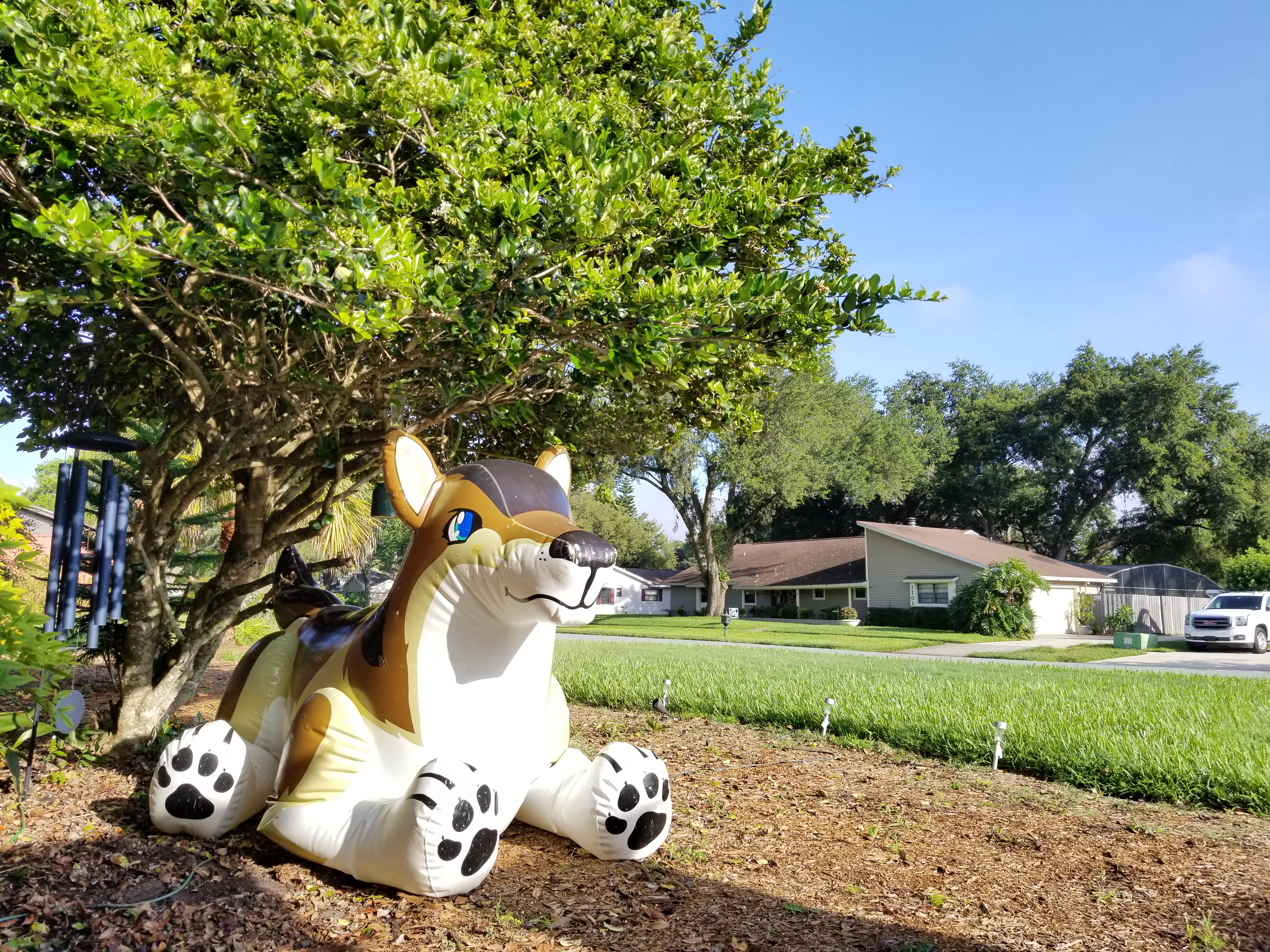 Don't worry, he compacts for easy travel!