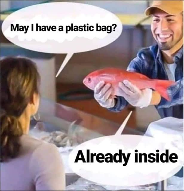 vnzelp5m08lbvckfuqfa.jpg