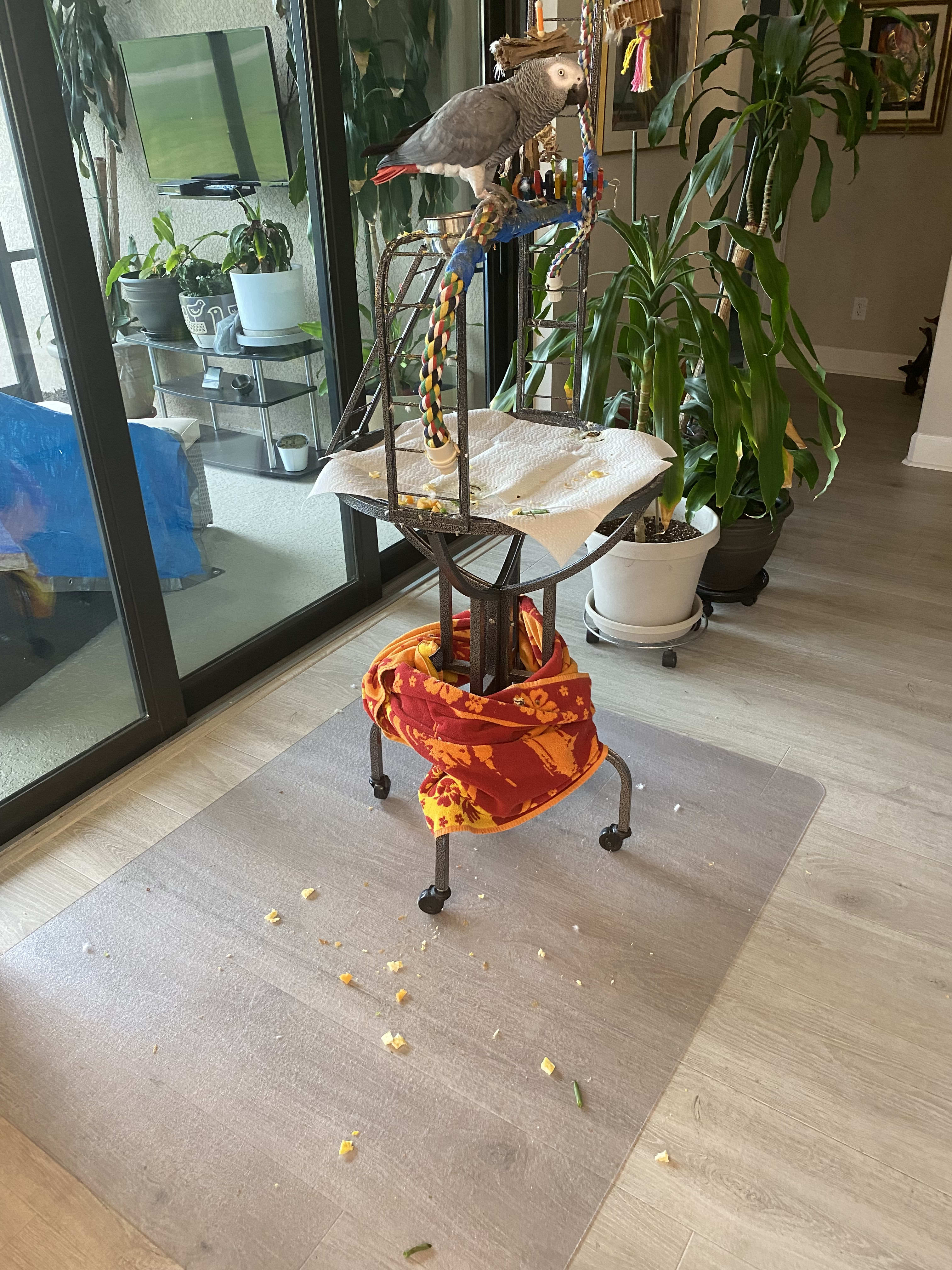 enter image description here