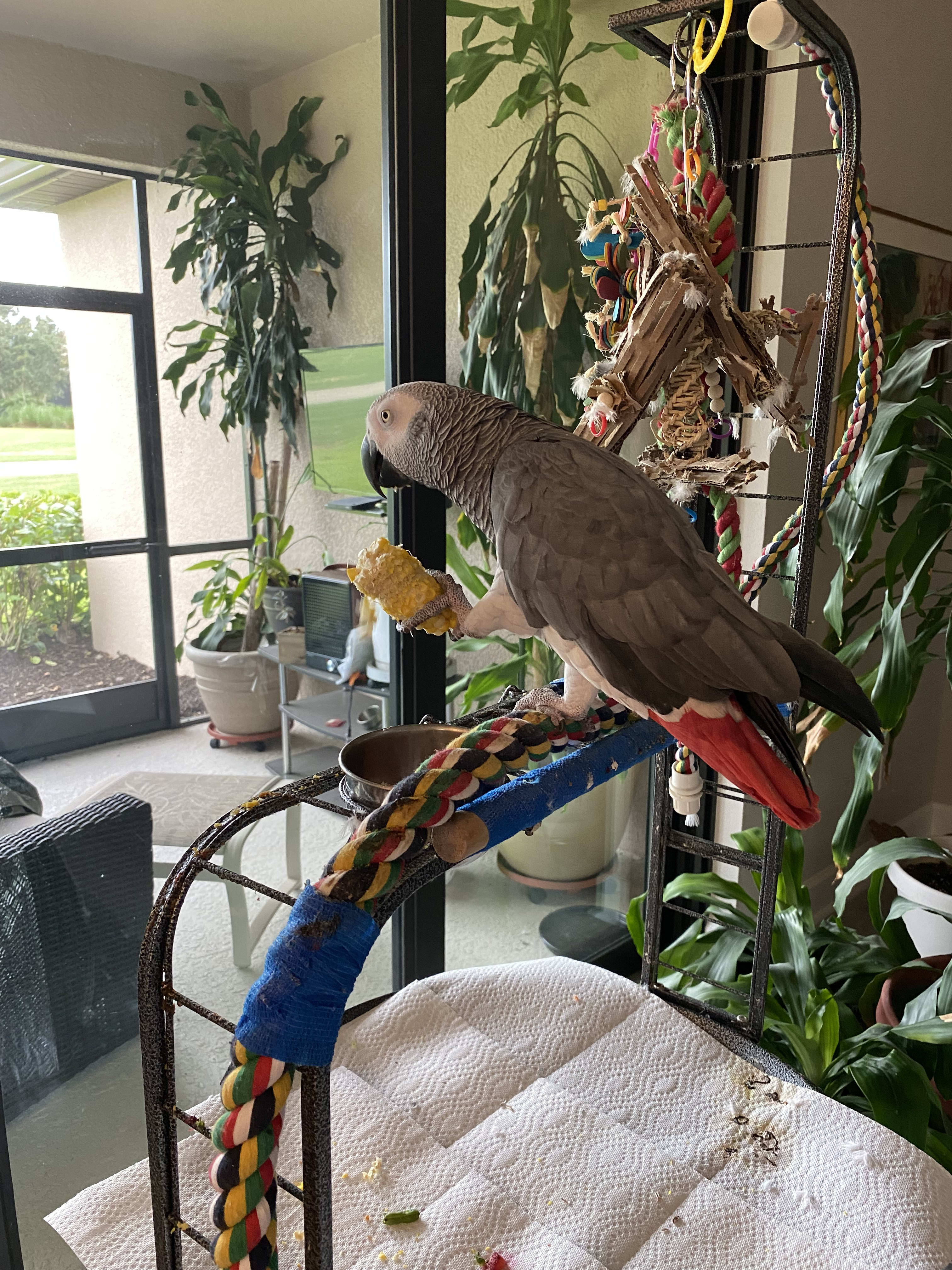 enter image description here