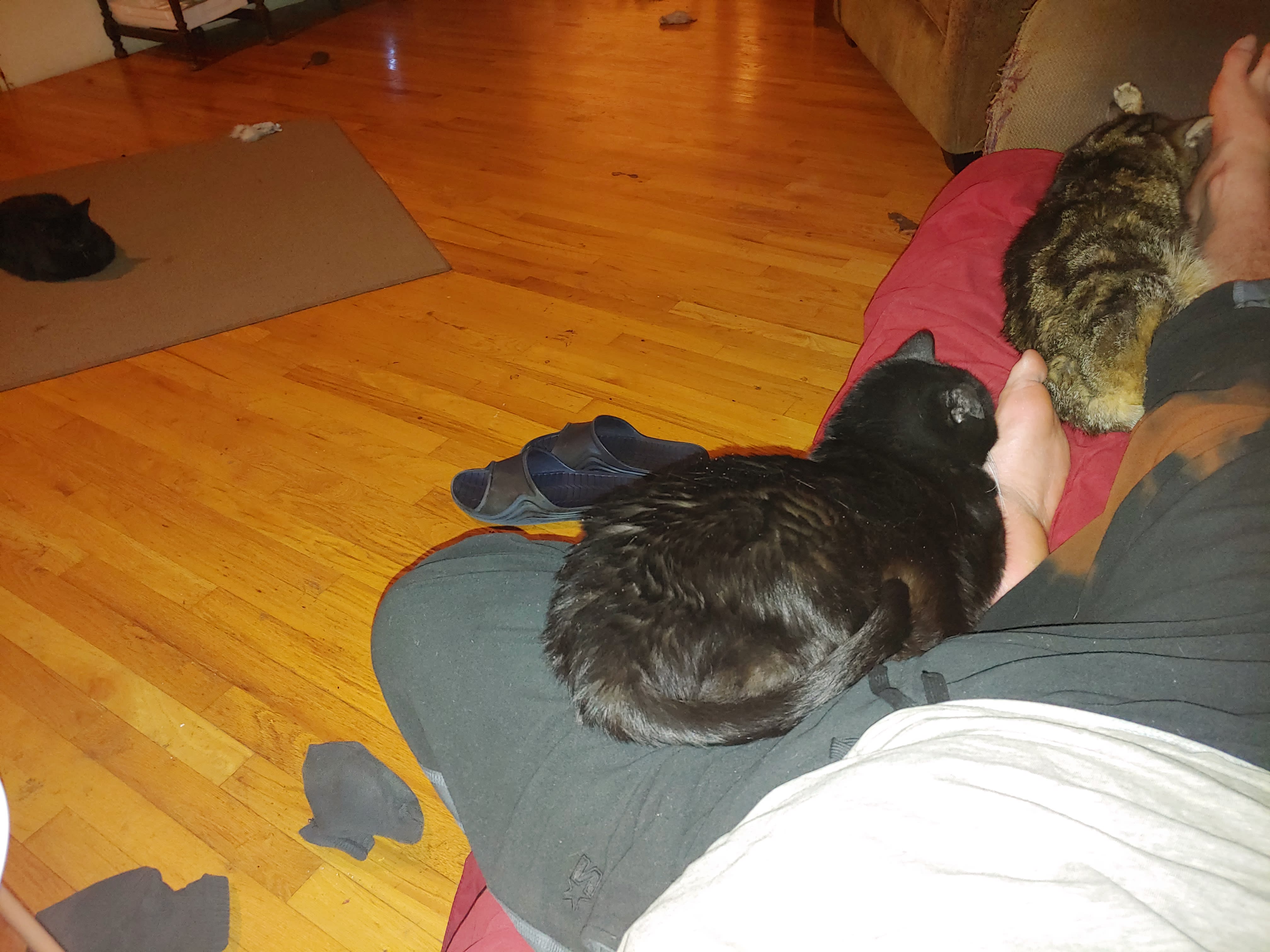 enter image description here