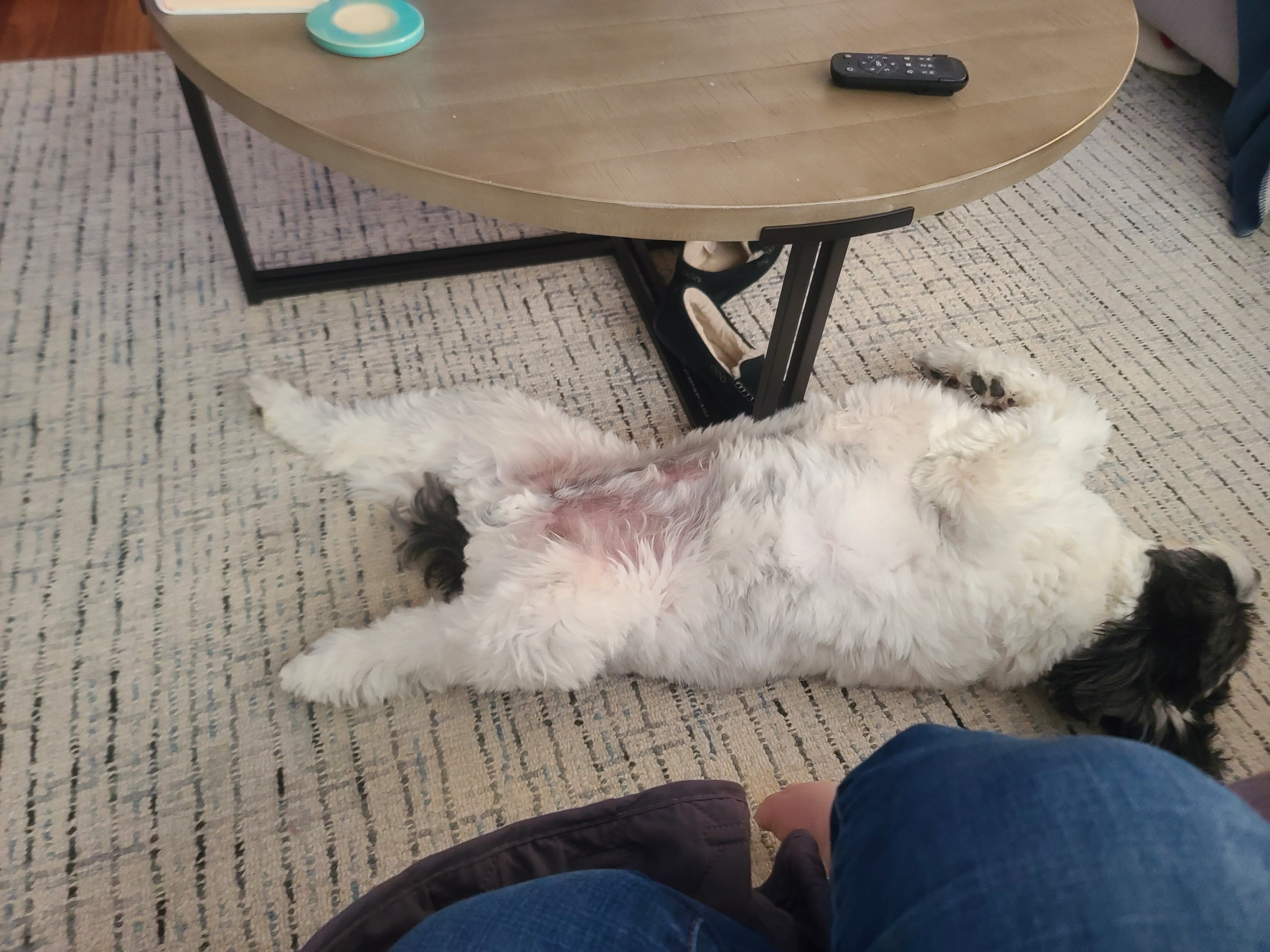 enter image description here