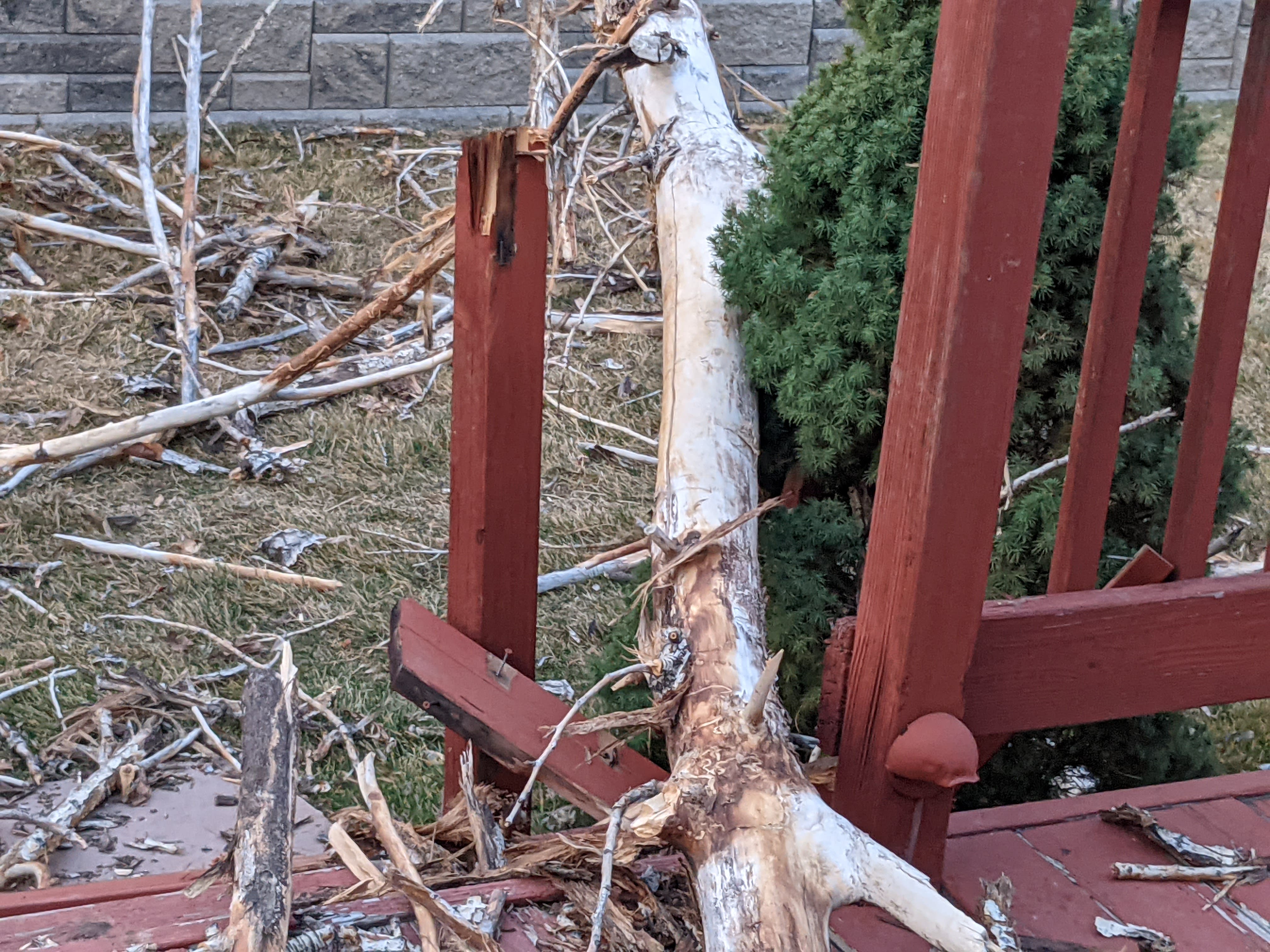 A tree fallen over with pieces of railing broken beneath it