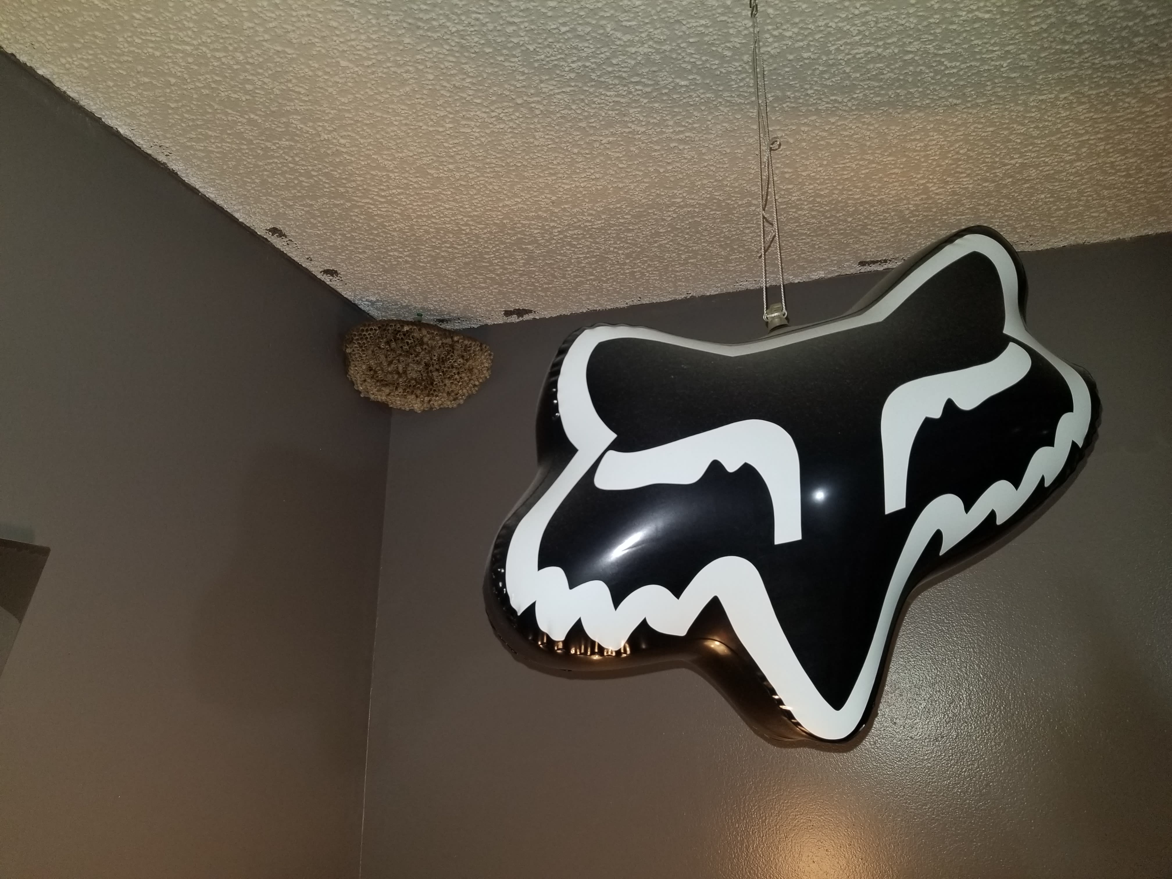 Don't worry - it's vacant!