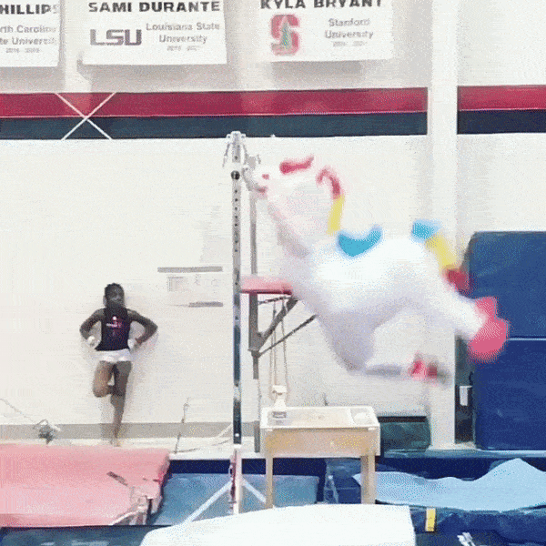 Rainbow acrobat pony