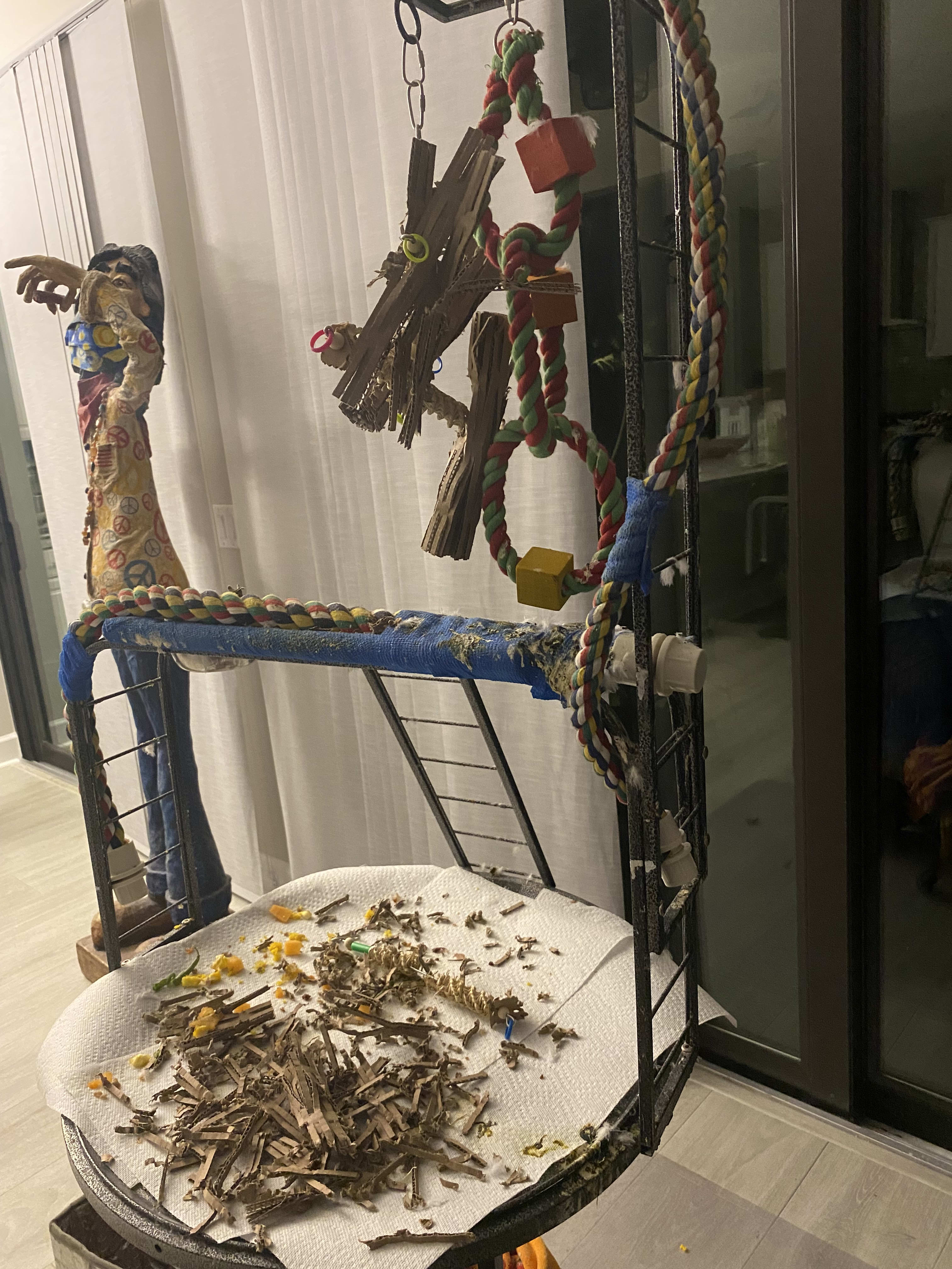 enter image description here