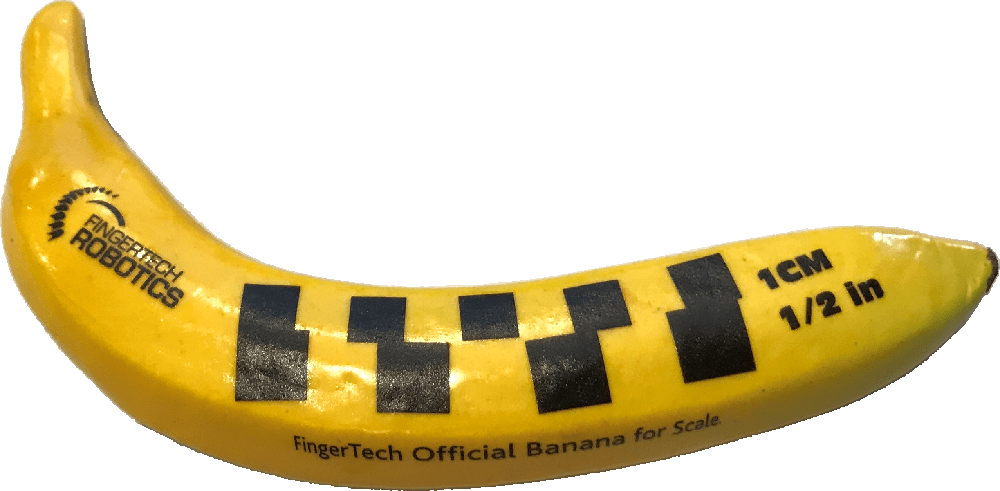 meh-banana-for-reference