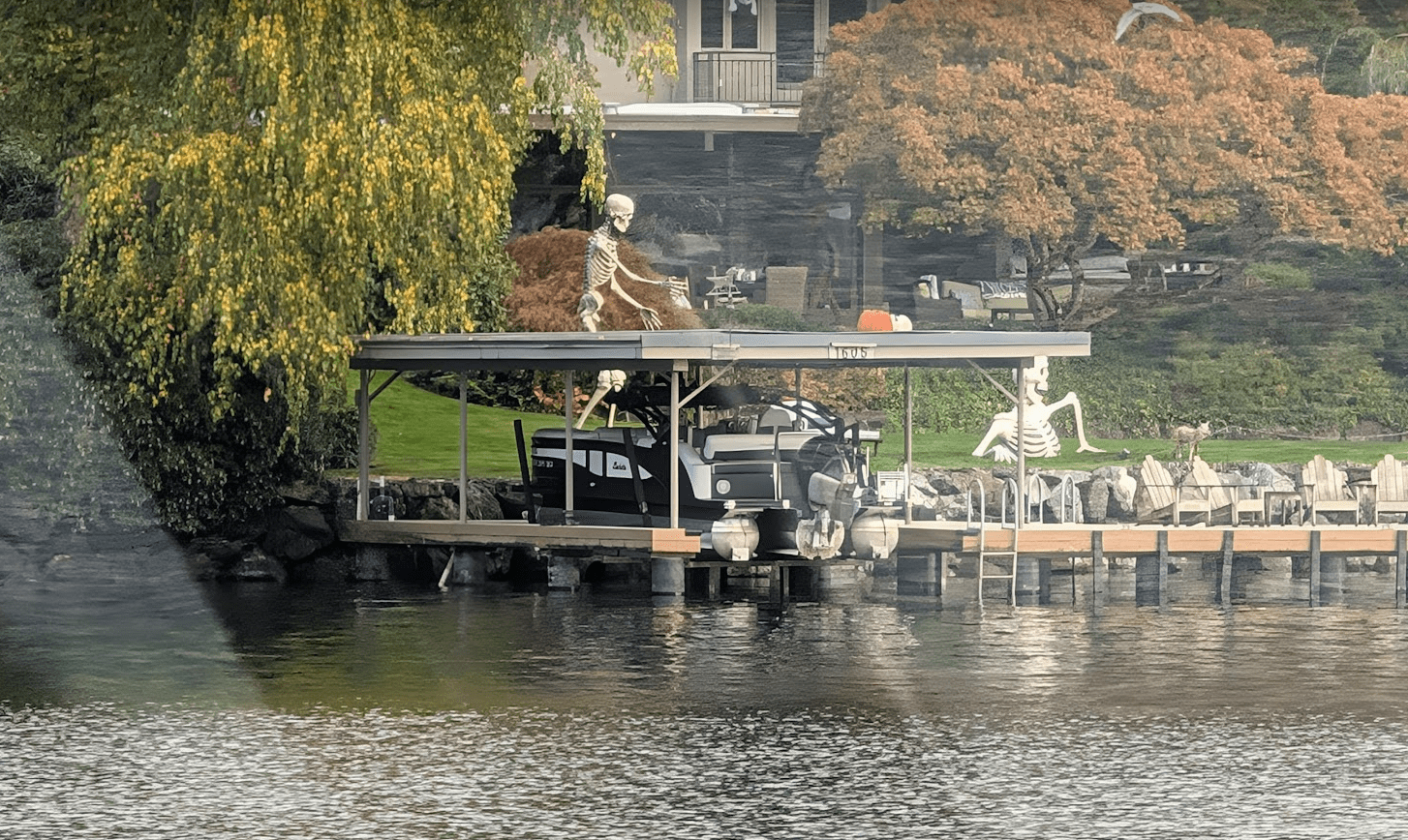 skeletons on lake washington
