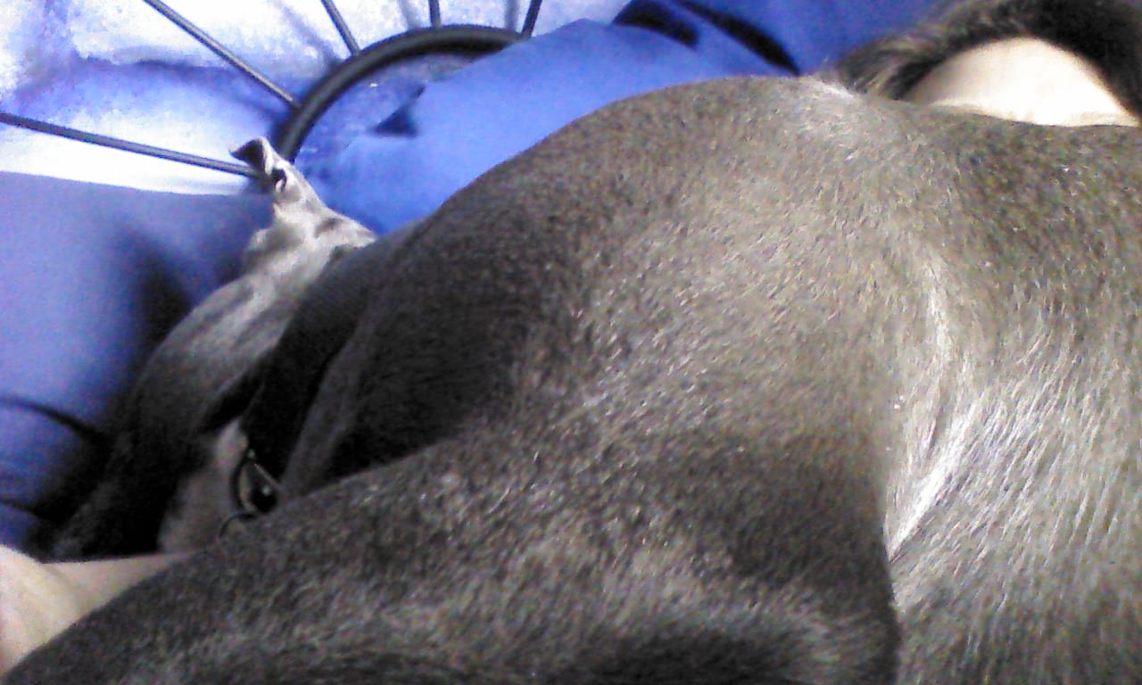 Yes, I am in this picture