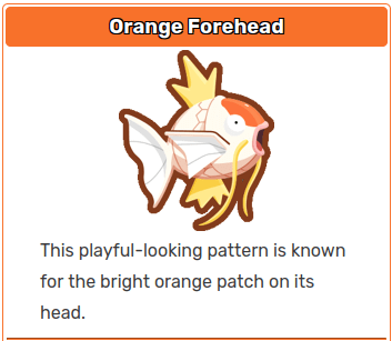 Orange Forehead