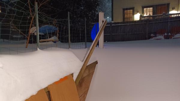 the part of the yard outside my door