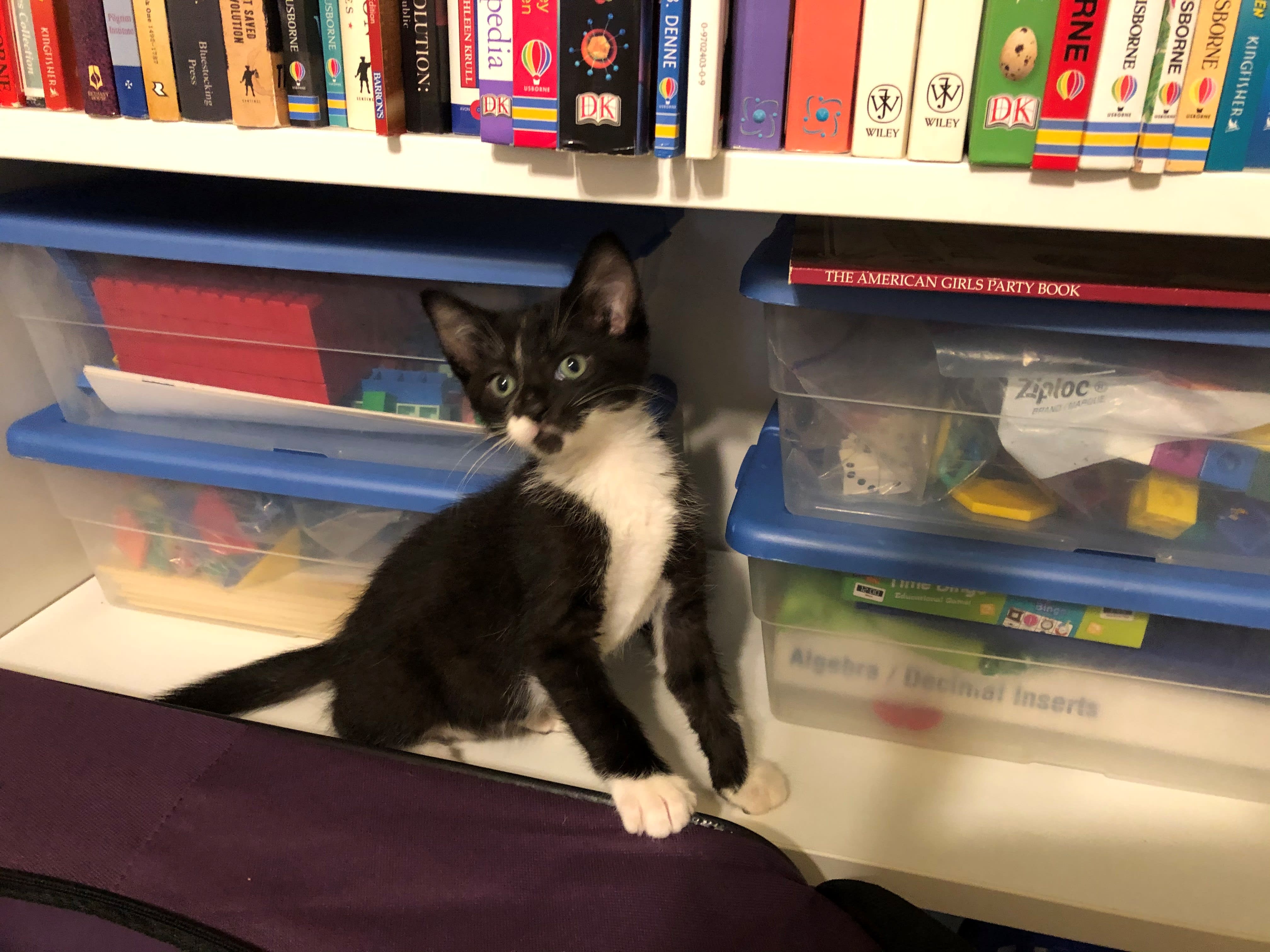 enter image description here