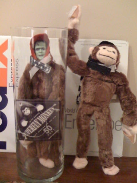 ZLM with guard monkey