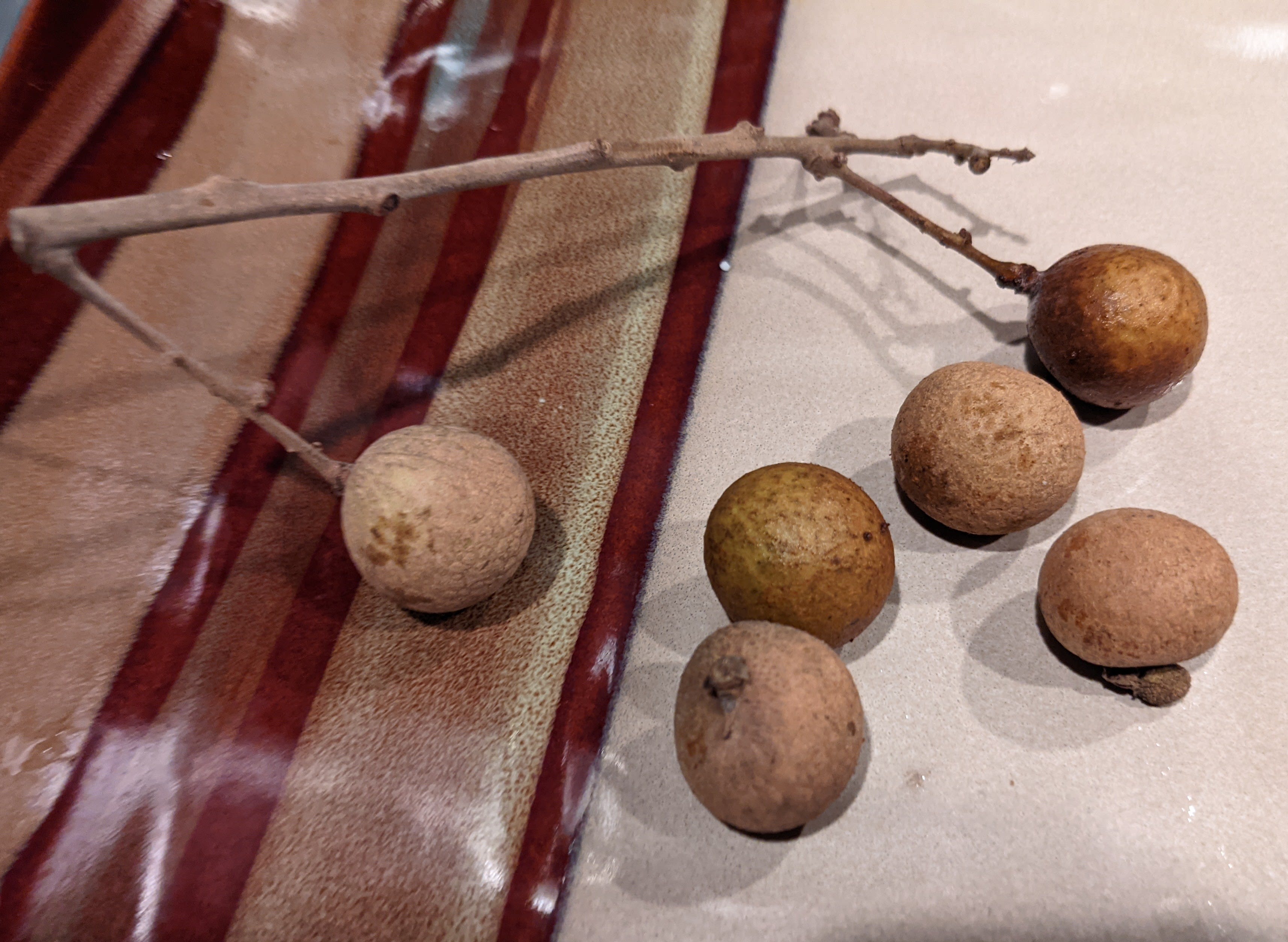Longan