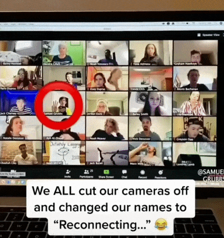 Reconnecting Zoom prank