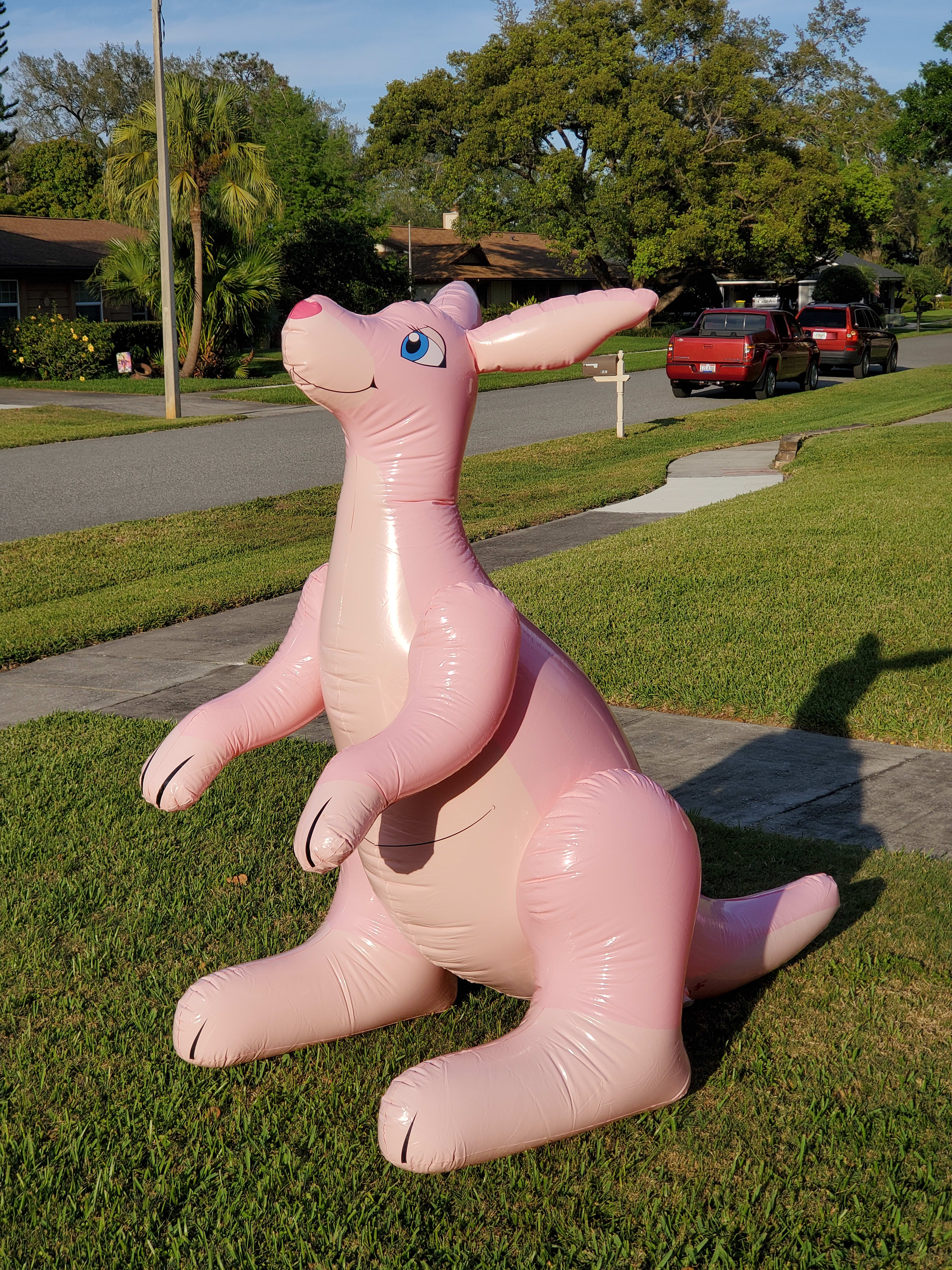 Pink and hops...close enough!