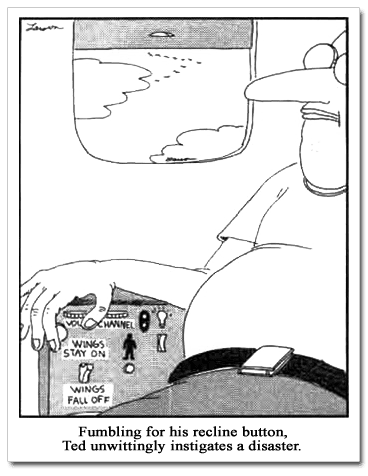 far side comic wings stay on