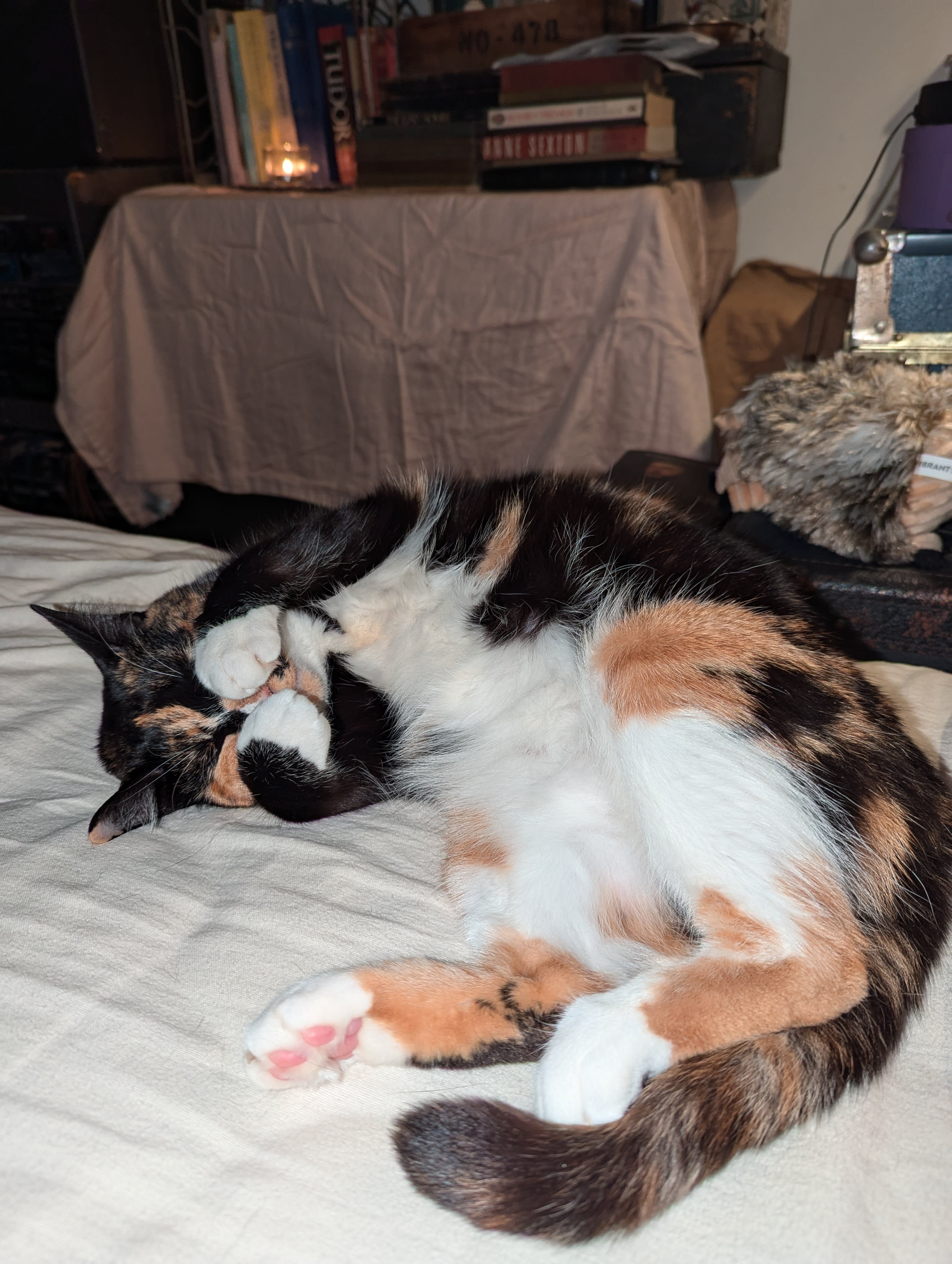 enter image description here