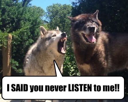You Never Listen...