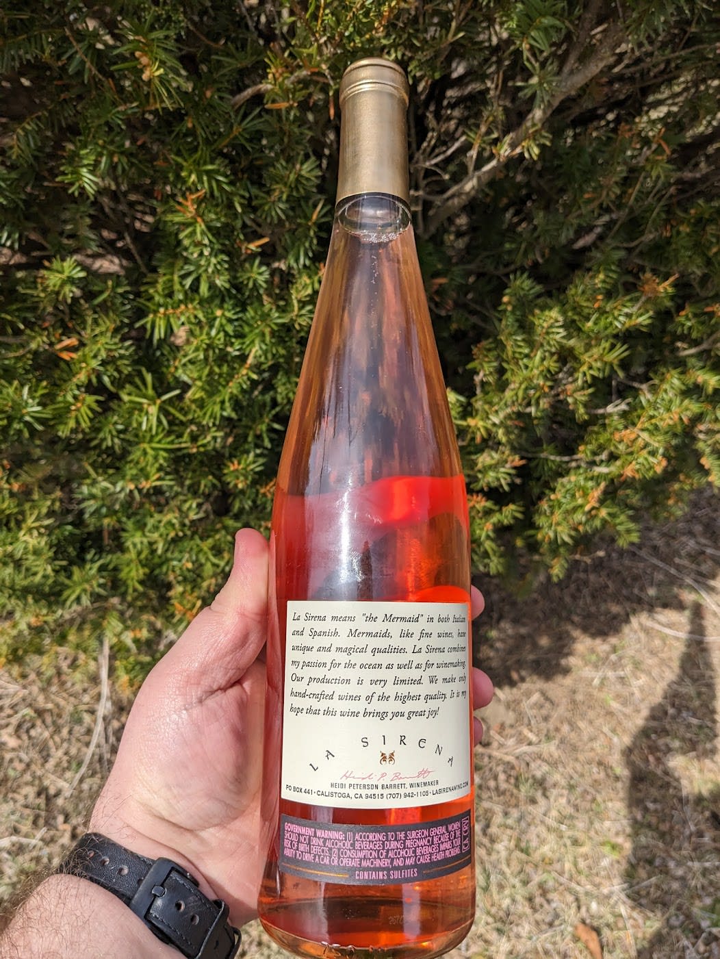 Back of bottle of 2023 La Sirena