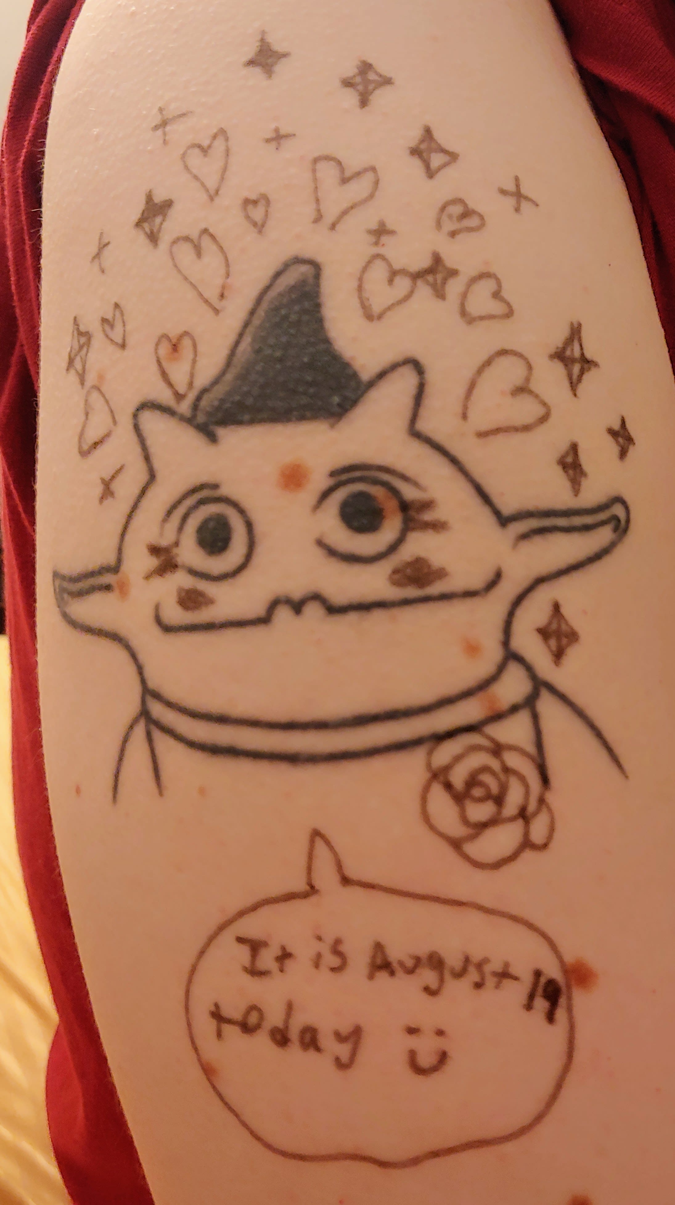 same as first photo but zoomed-in