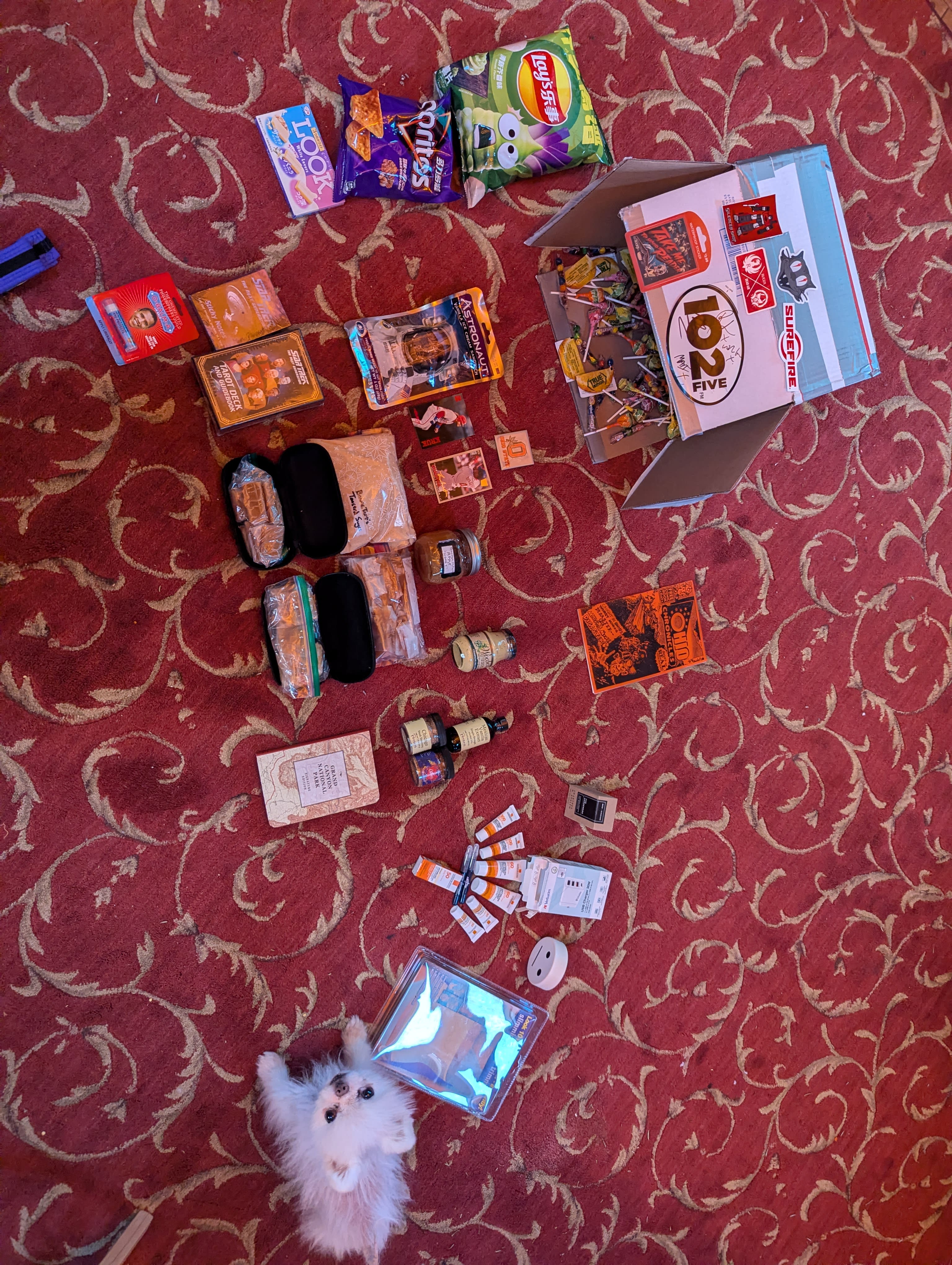 note the inspector in the bottom right