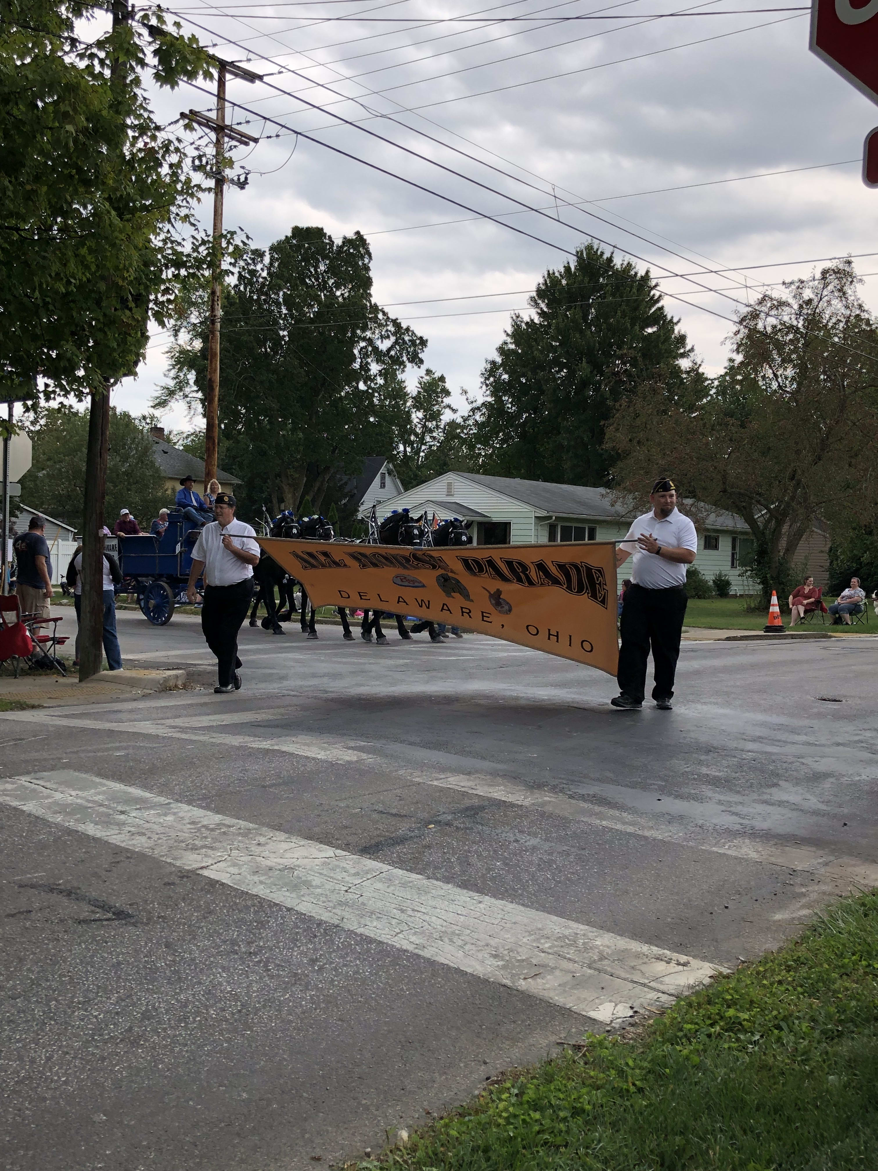 horse parade