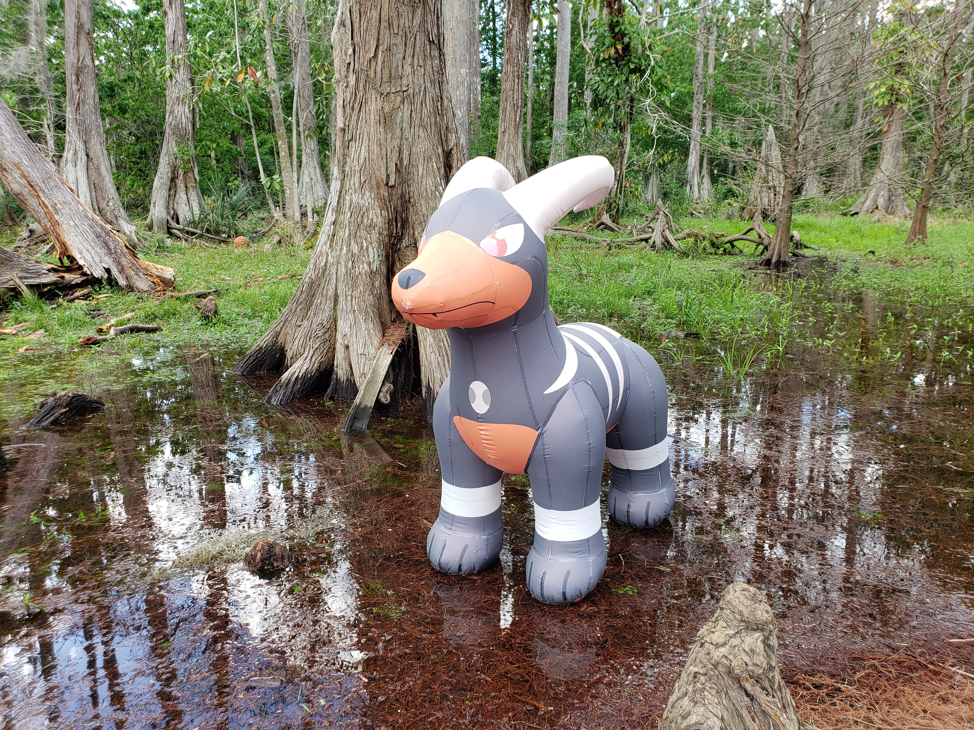 Inflatable Houndoom!