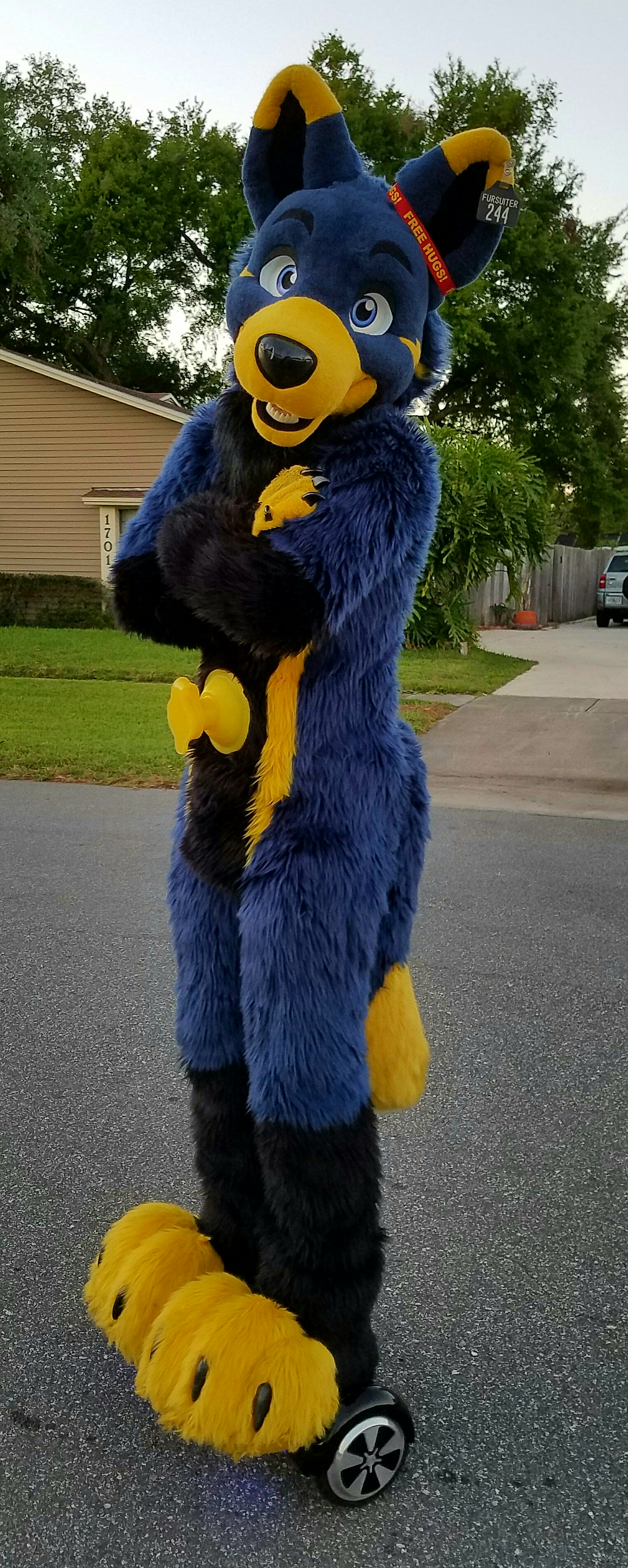 Mac, the pooltoy wolf!